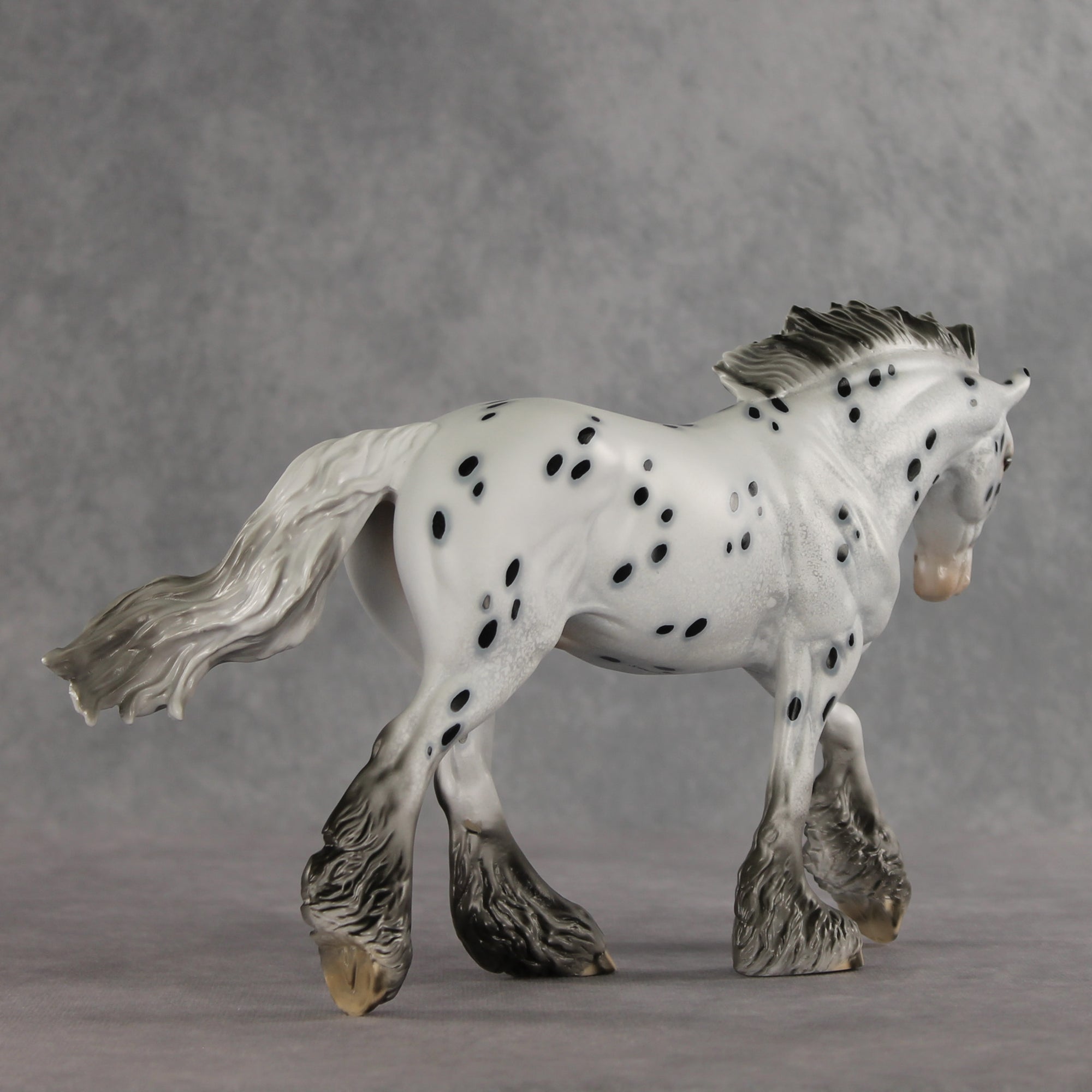 Catfish LE-10 FCM Irish Cob by Dawn Quick VV26