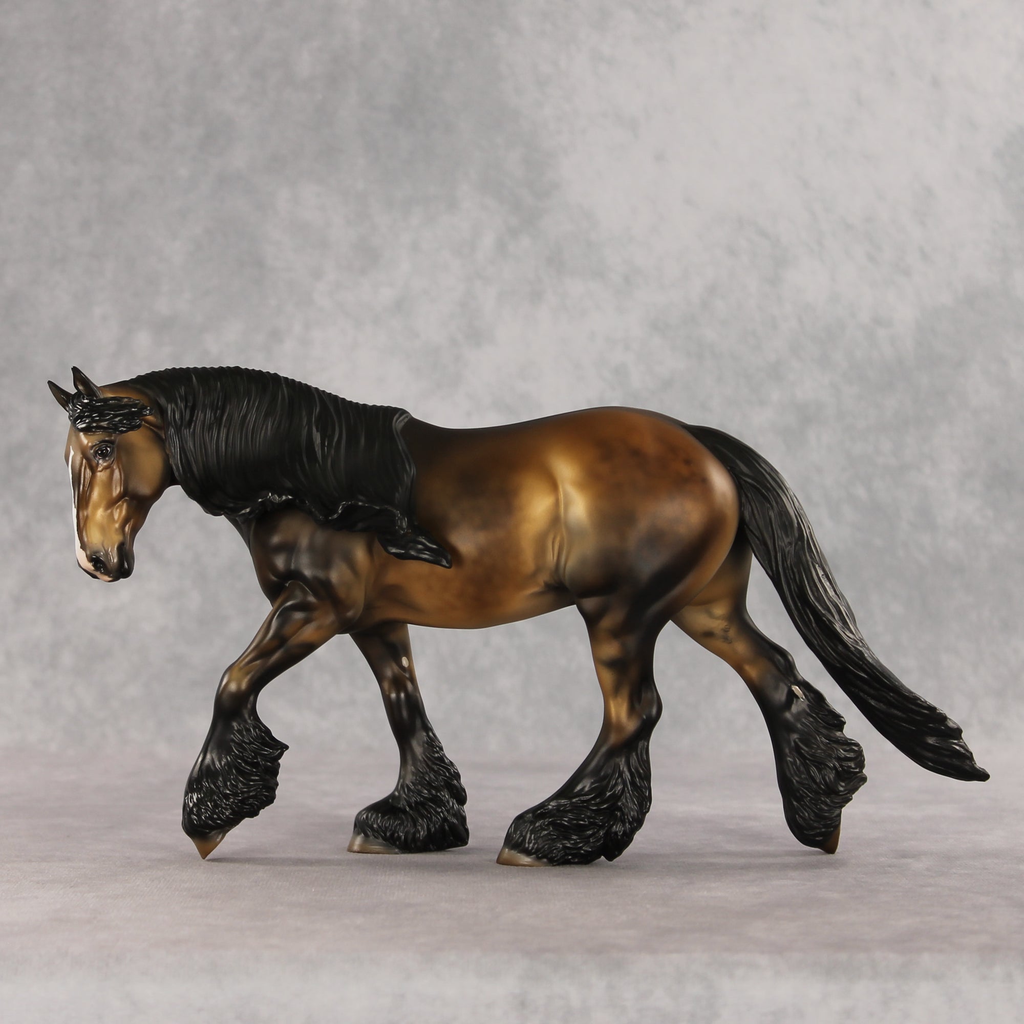 Fabio LE-10 FCM Irish Cob by Julie Keim VV26