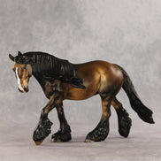 Fabio LE-10 FCM Irish Cob by Julie Keim VV26