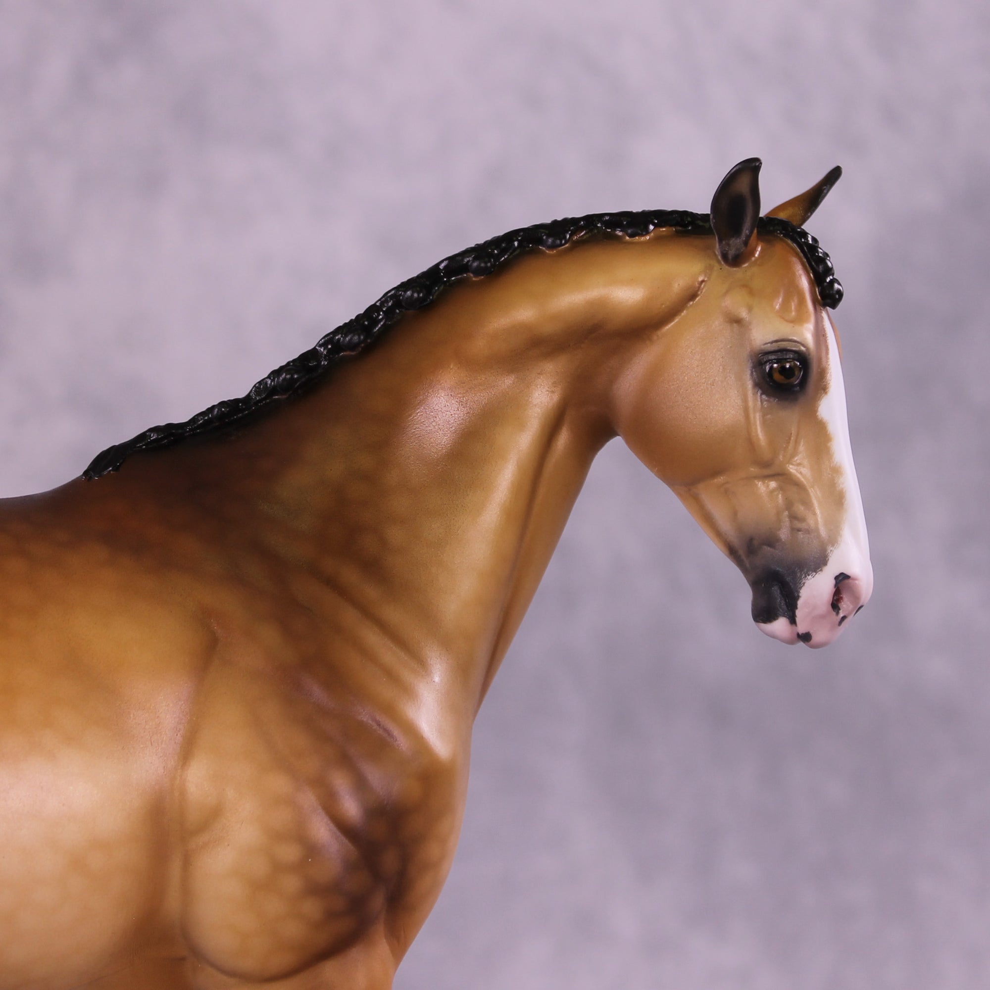 Brunelleschi OOAK EFCM Ideal Stock Horse by Ellen Robbins Best Offer 9/23/2025