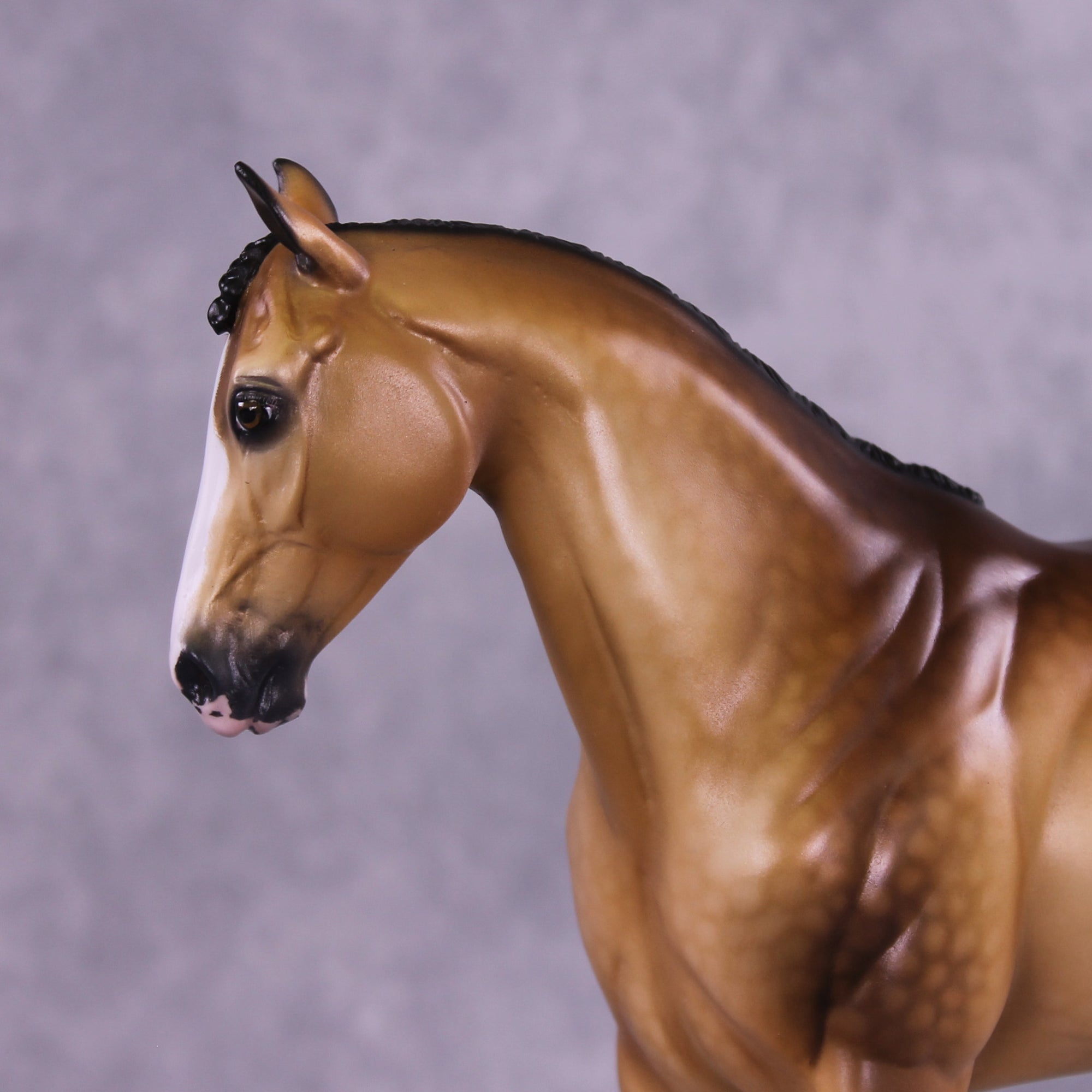 Brunelleschi OOAK EFCM Ideal Stock Horse by Ellen Robbins Best Offer 9/23/2025