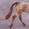 &quot;Daphne&quot; OOAK EFCM Arabian Yearling by Renee Justiss/Ellie Figment Best Offer EQ25 07/15/25