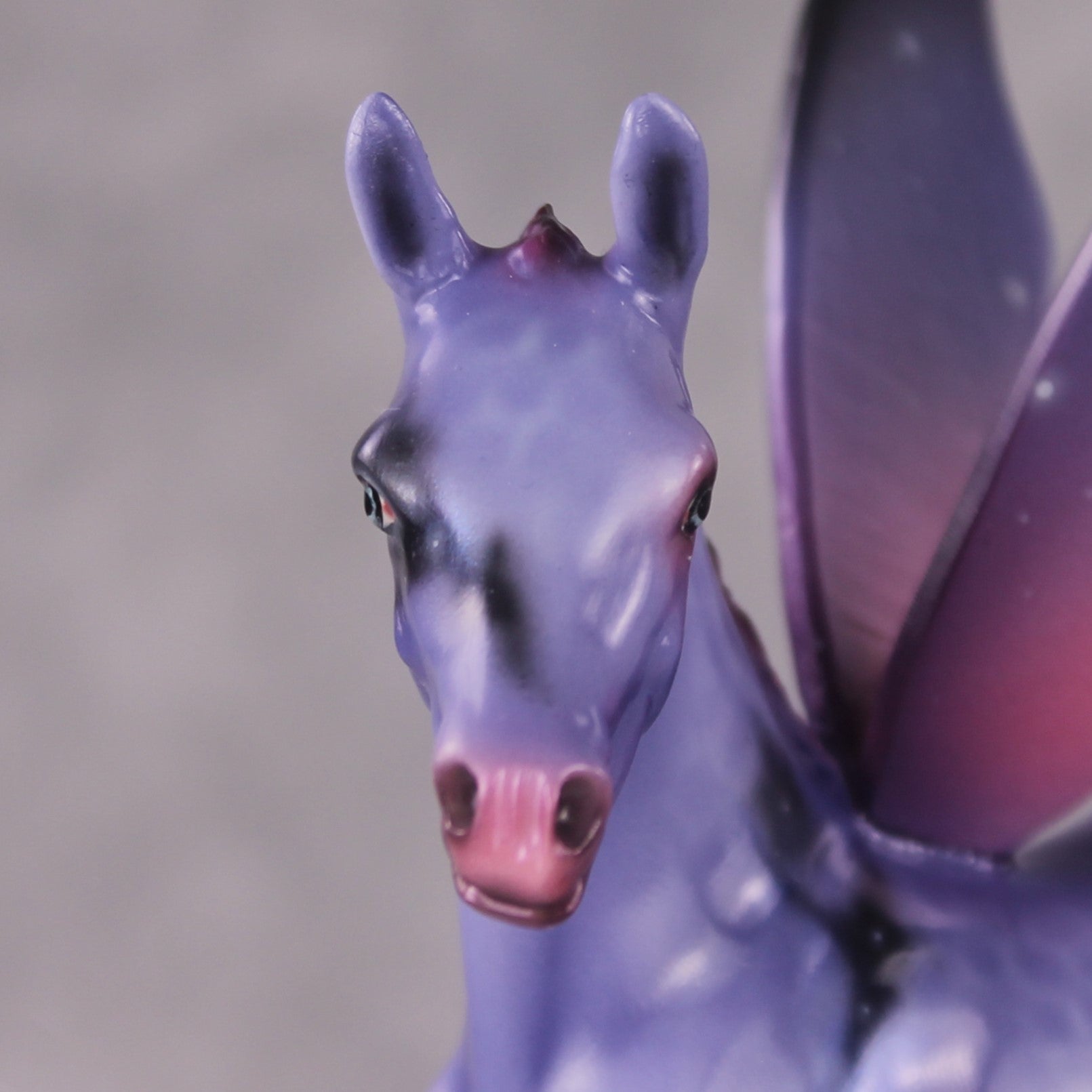 "Little Starling" OOAK Purple Nebula Arabian Foal By Ashley Palmer Best Offer 03/11/2025