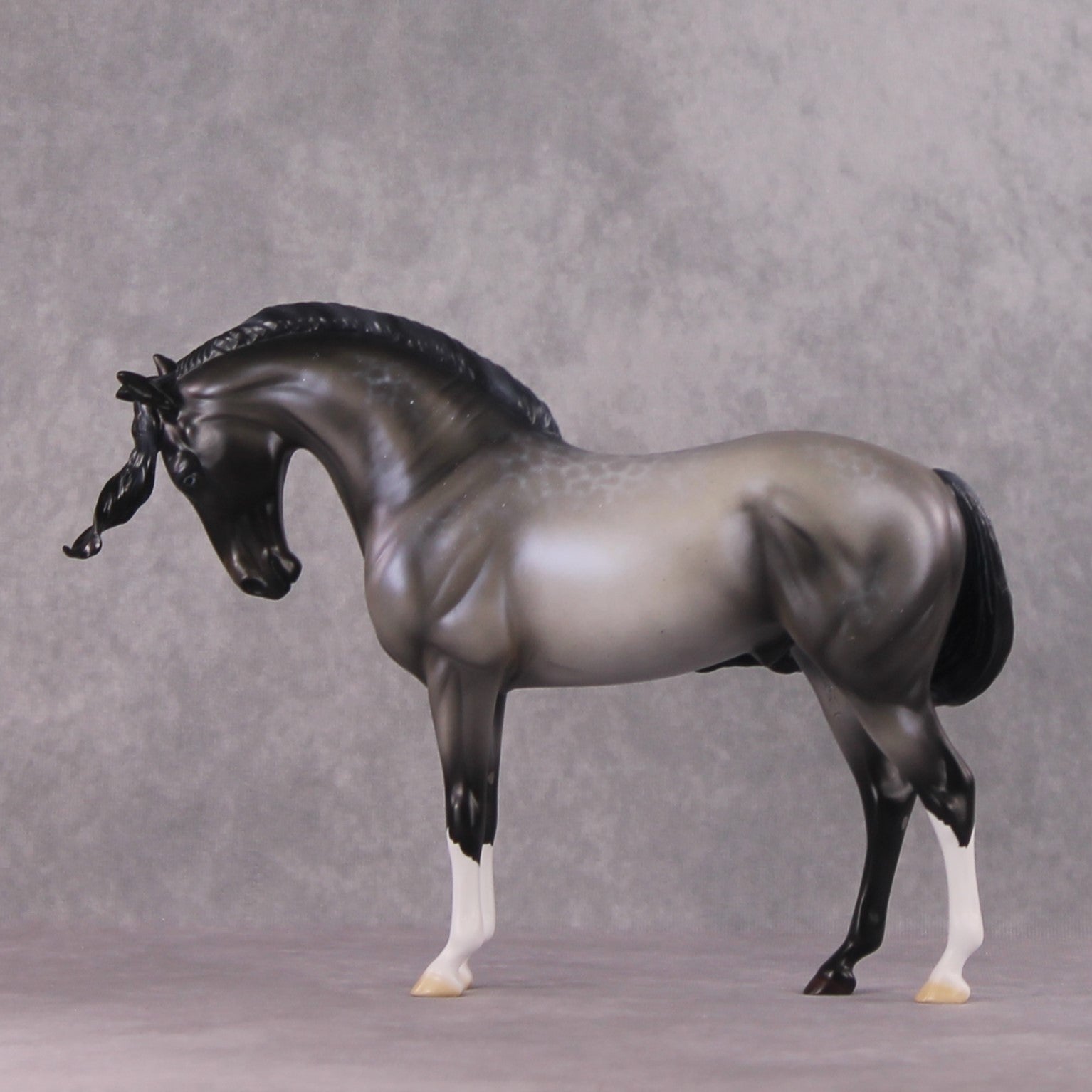 SAMPLE "Winter Wizard" EFCM Andalusian by Ellen Robbins