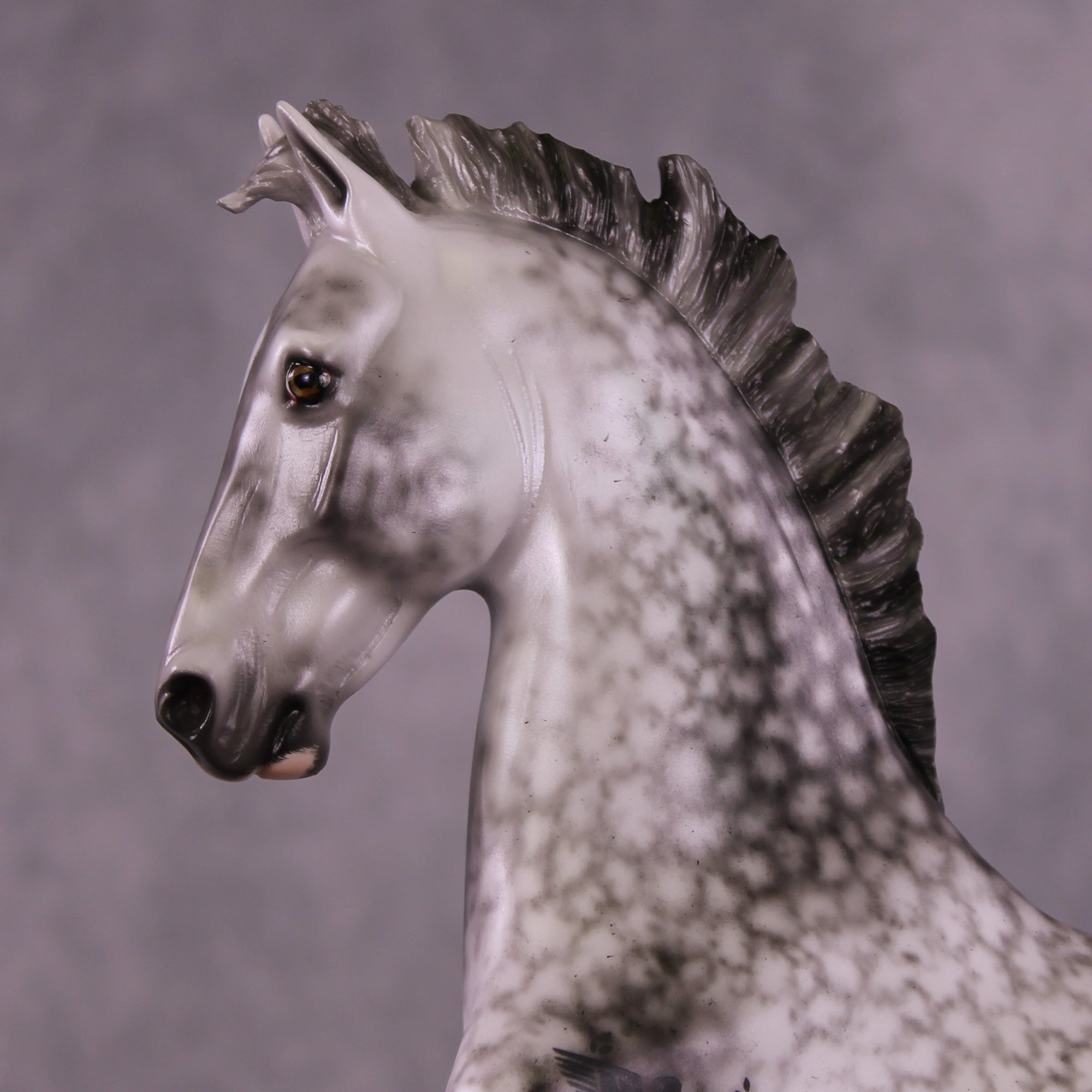 Marcus Antonius OOAK FCM American Saddlebred by Ellen Robbins Best Offer 08/19/25