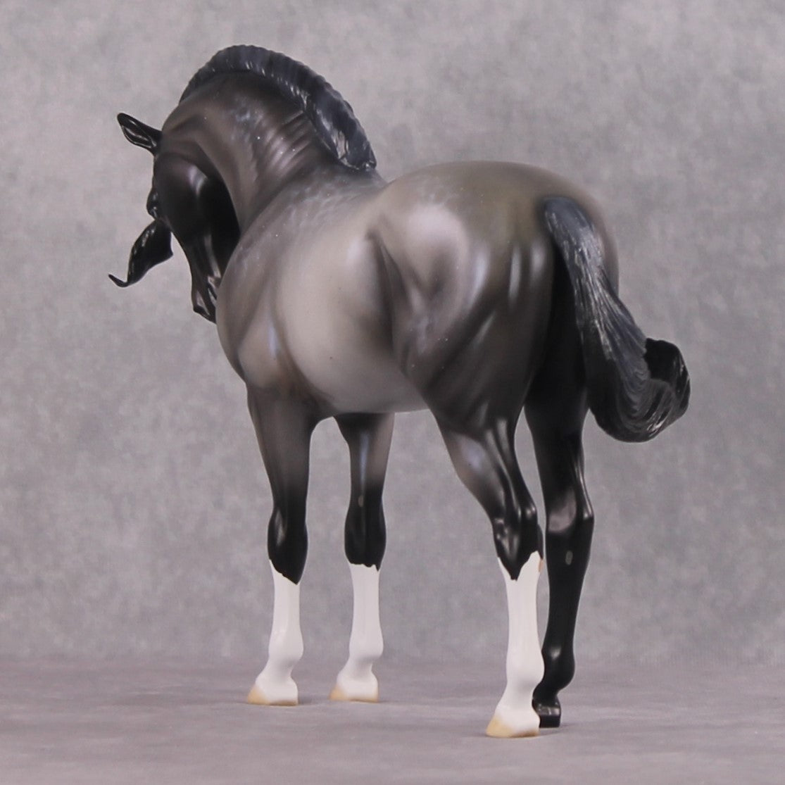 SAMPLE "Winter Wizard" EFCM Andalusian by Ellen Robbins