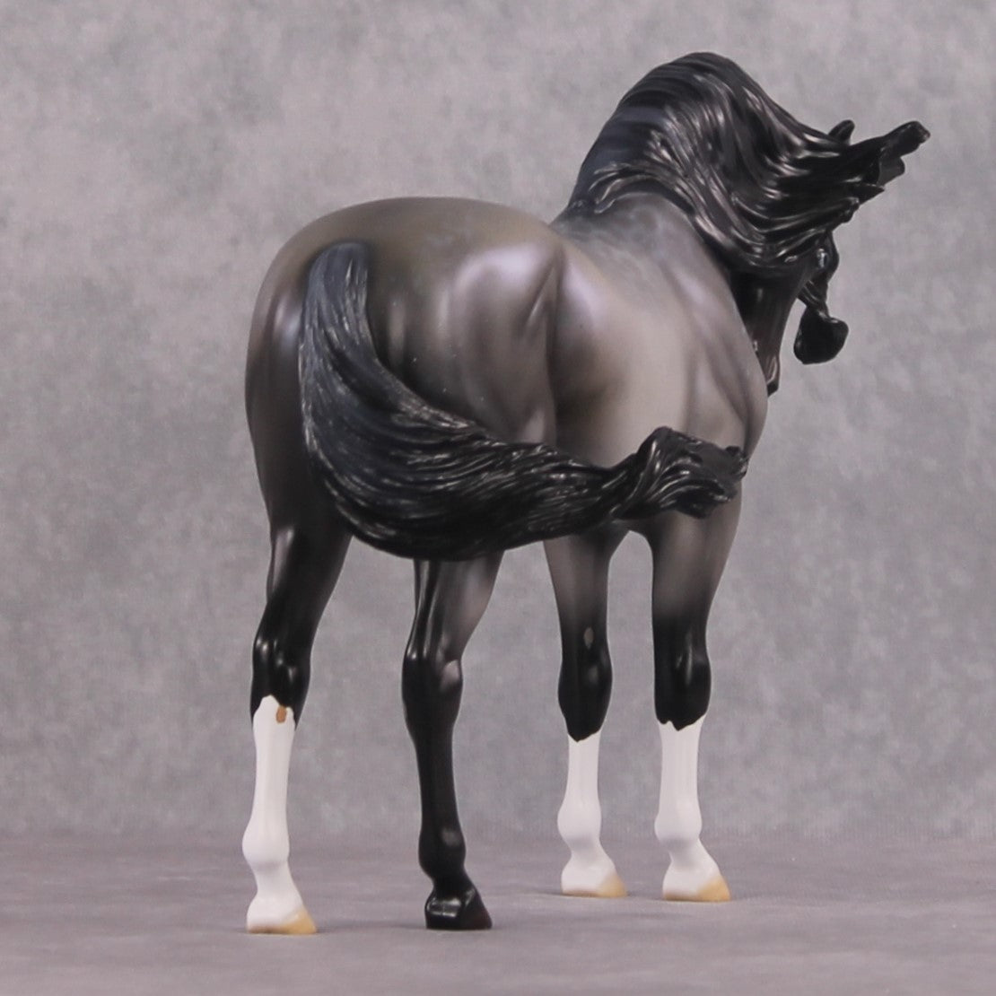 SAMPLE "Winter Wizard" EFCM Andalusian by Ellen Robbins