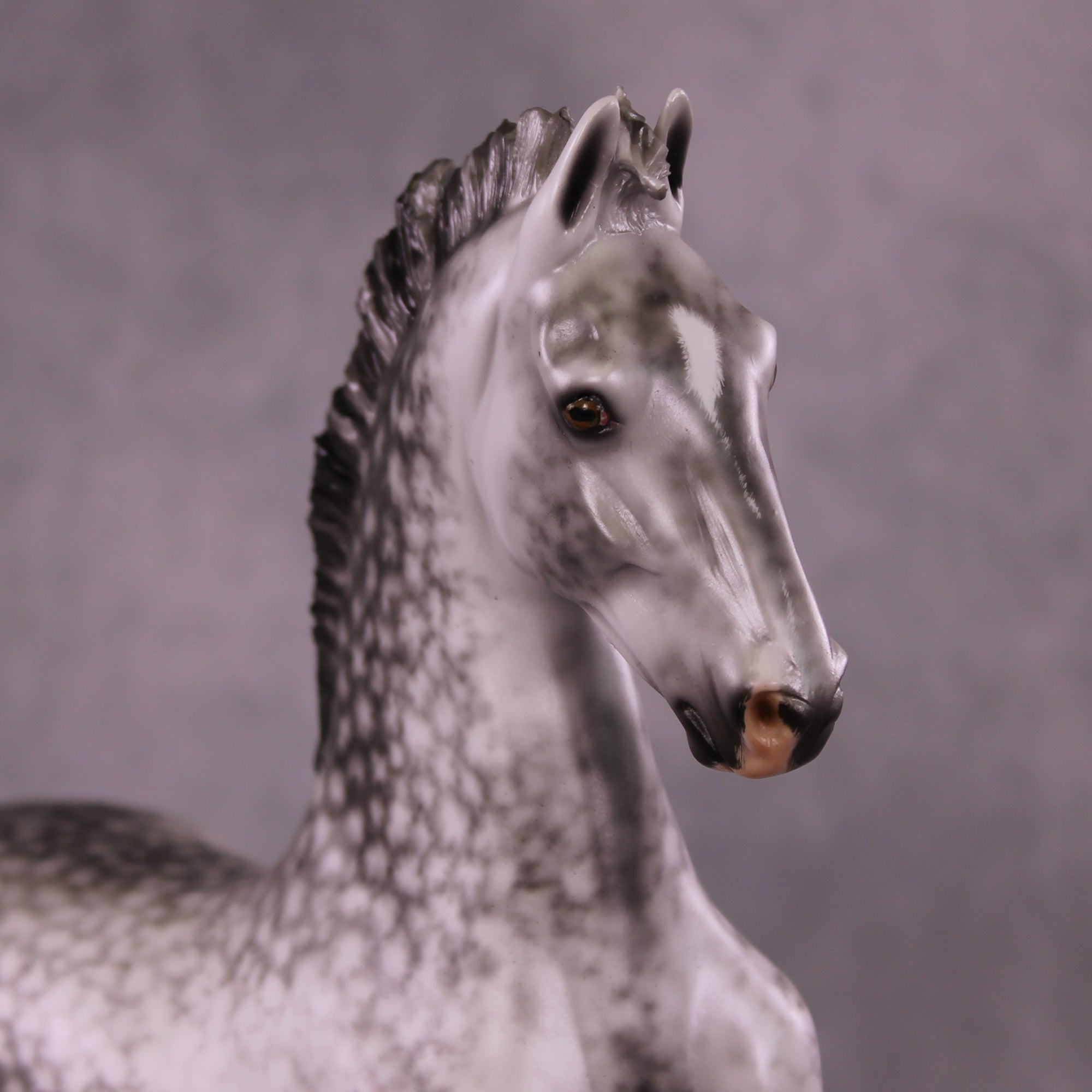 Marcus Antonius OOAK FCM American Saddlebred by Ellen Robbins Best Offer 08/19/25