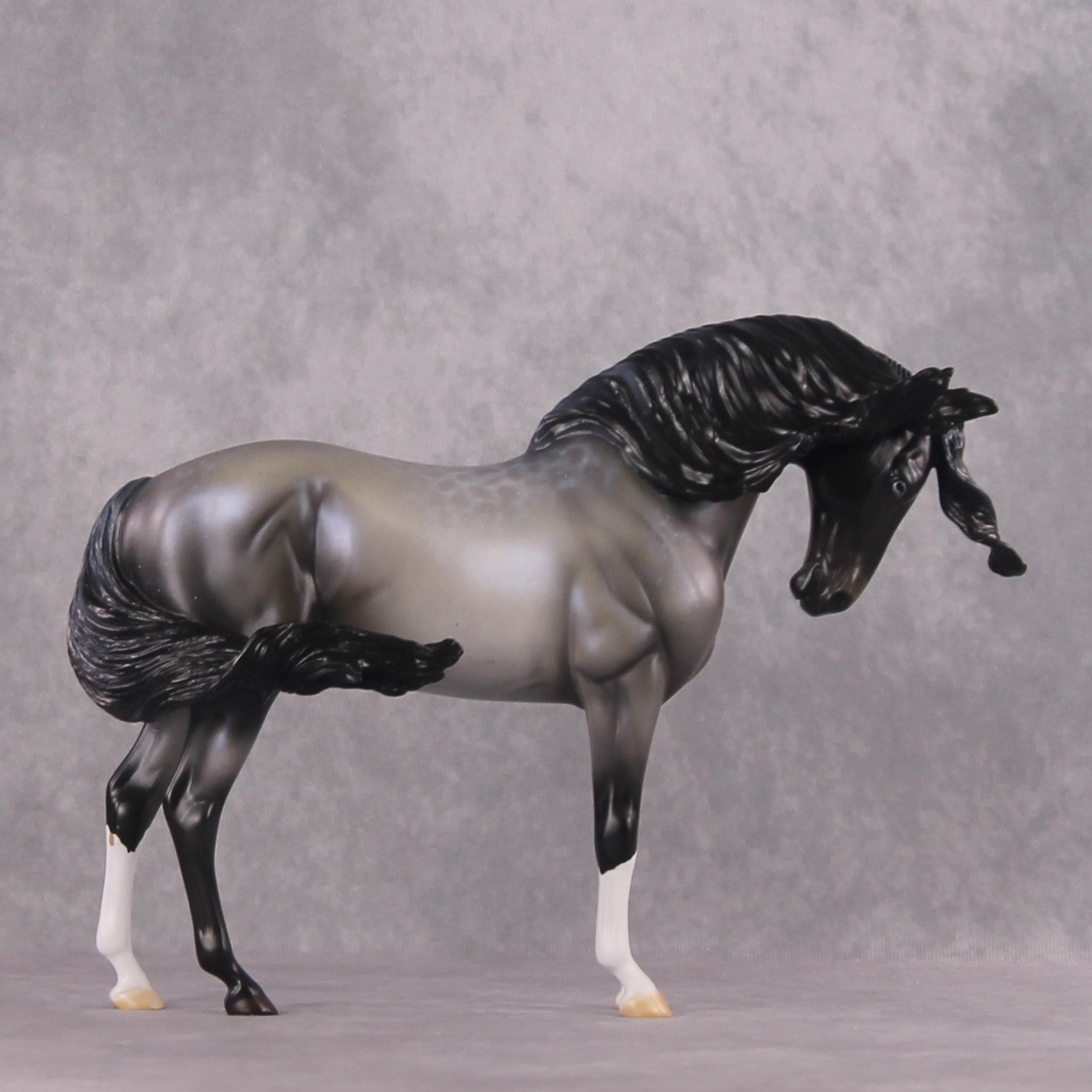 SAMPLE "Winter Wizard" EFCM Andalusian by Ellen Robbins