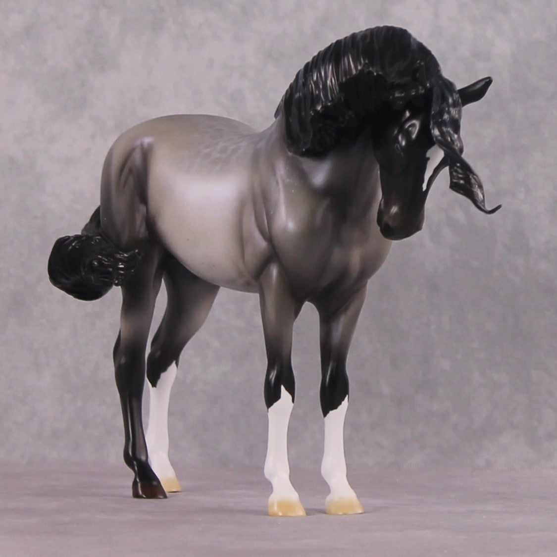 SAMPLE "Winter Wizard" EFCM Andalusian by Ellen Robbins