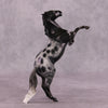 &quot;Odyssey&quot; OOAK Rearing Pebble by Anna Rieck EQ25
