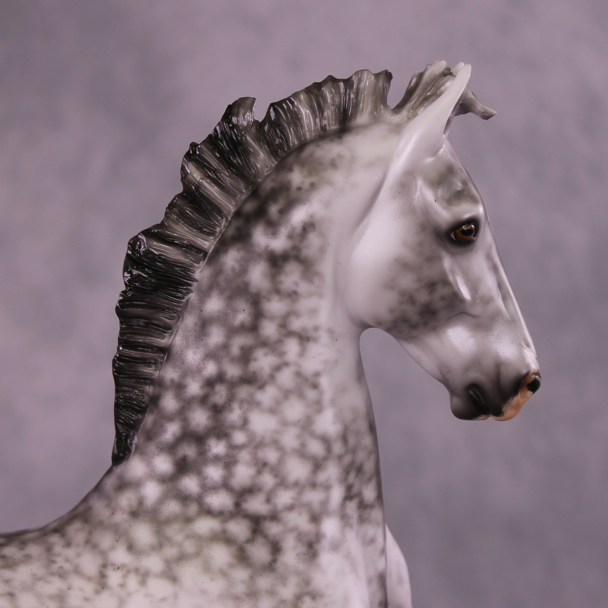 Marcus Antonius OOAK FCM American Saddlebred by Ellen Robbins Best Offer 08/19/25