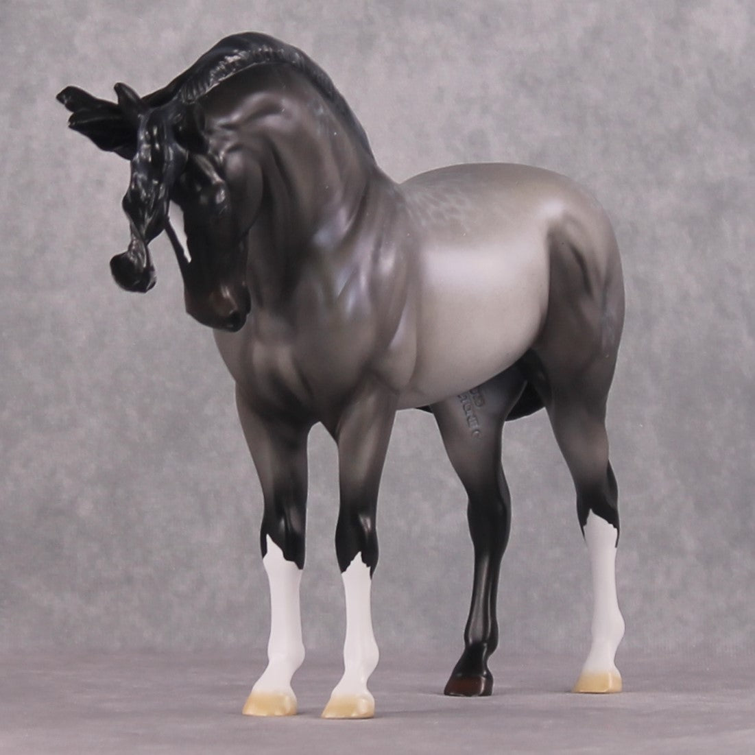 SAMPLE "Winter Wizard" EFCM Andalusian by Ellen Robbins