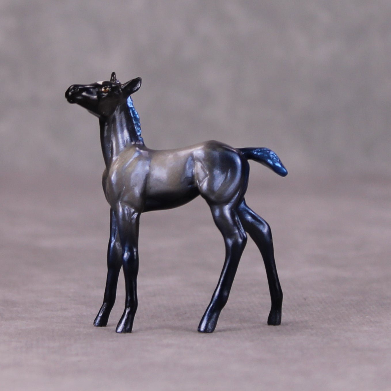 Luna OOAK Deco Holo Blues Foal Chip By Pernille Forsberg Bojsen November 2024