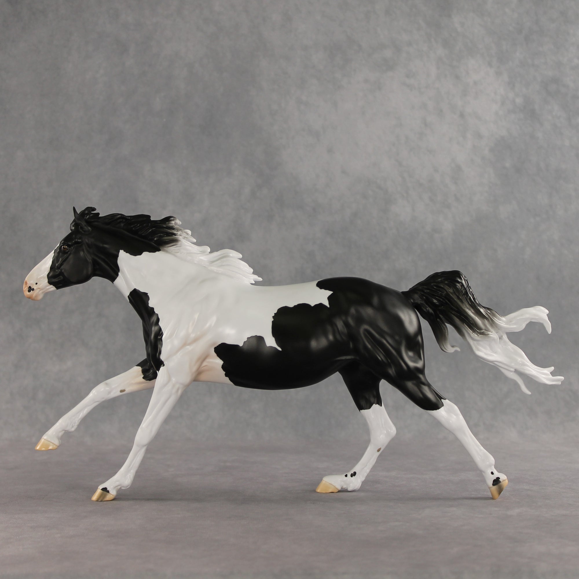 Eden LE-10 by Jess Hamill &amp; Carissa Mathews VV26