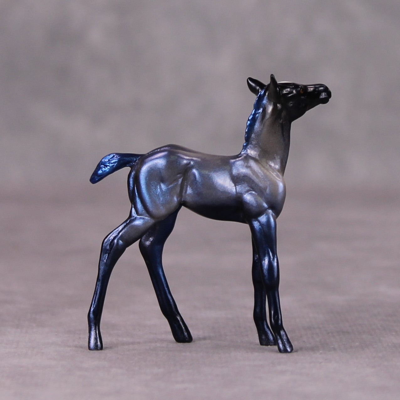 Luna OOAK Deco Holo Blues Foal Chip By Pernille Forsberg Bojsen November 2024