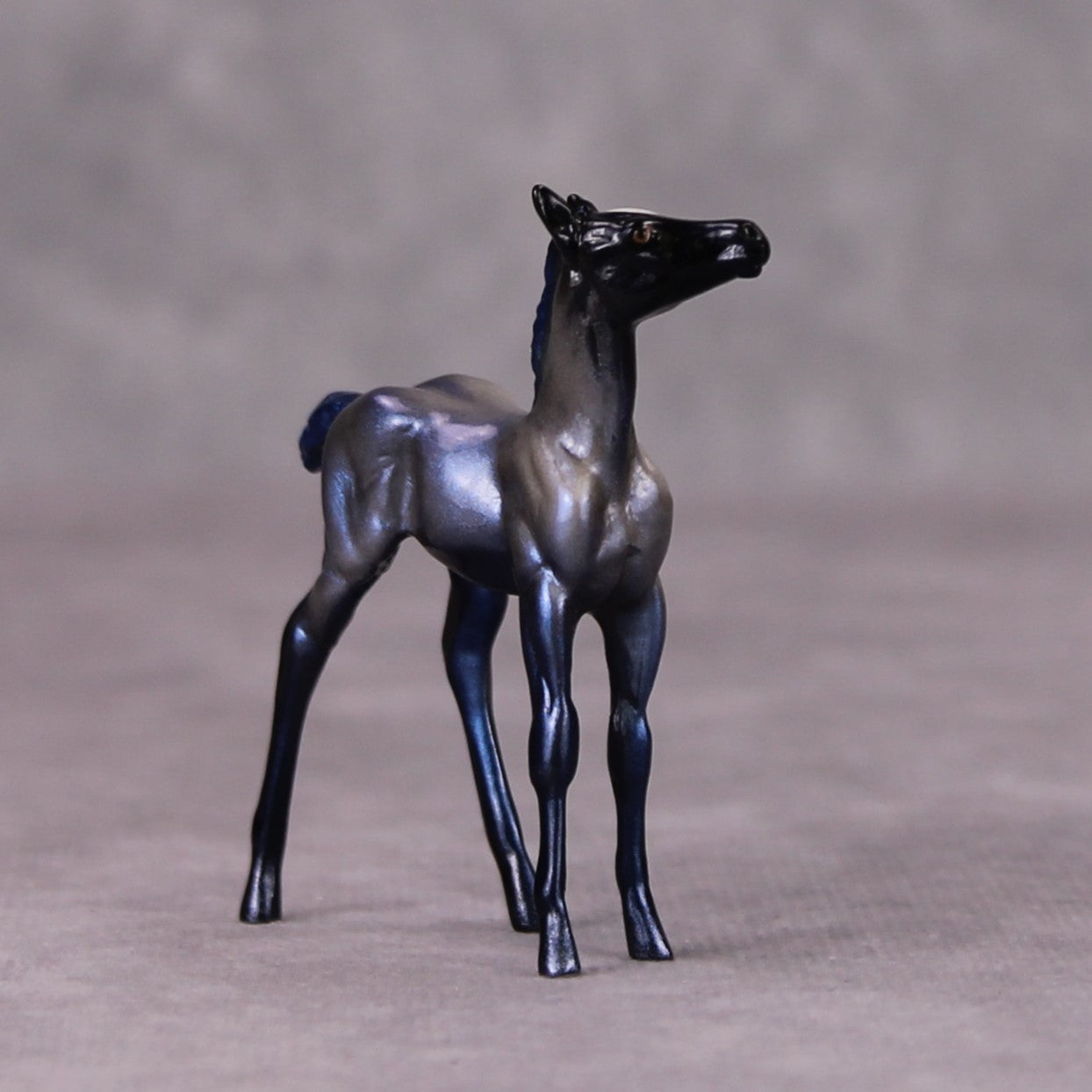 Luna OOAK Deco Holo Blues Foal Chip By Pernille Forsberg Bojsen November 2024
