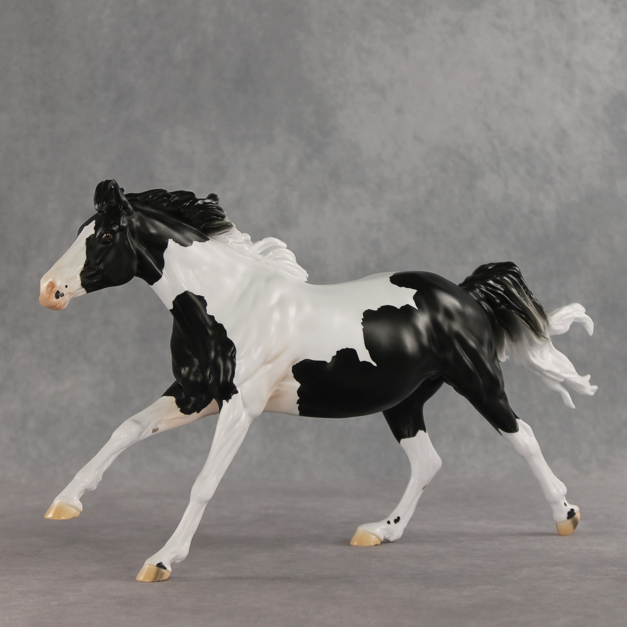 Eden LE-10 by Jess Hamill &amp; Carissa Mathews VV26