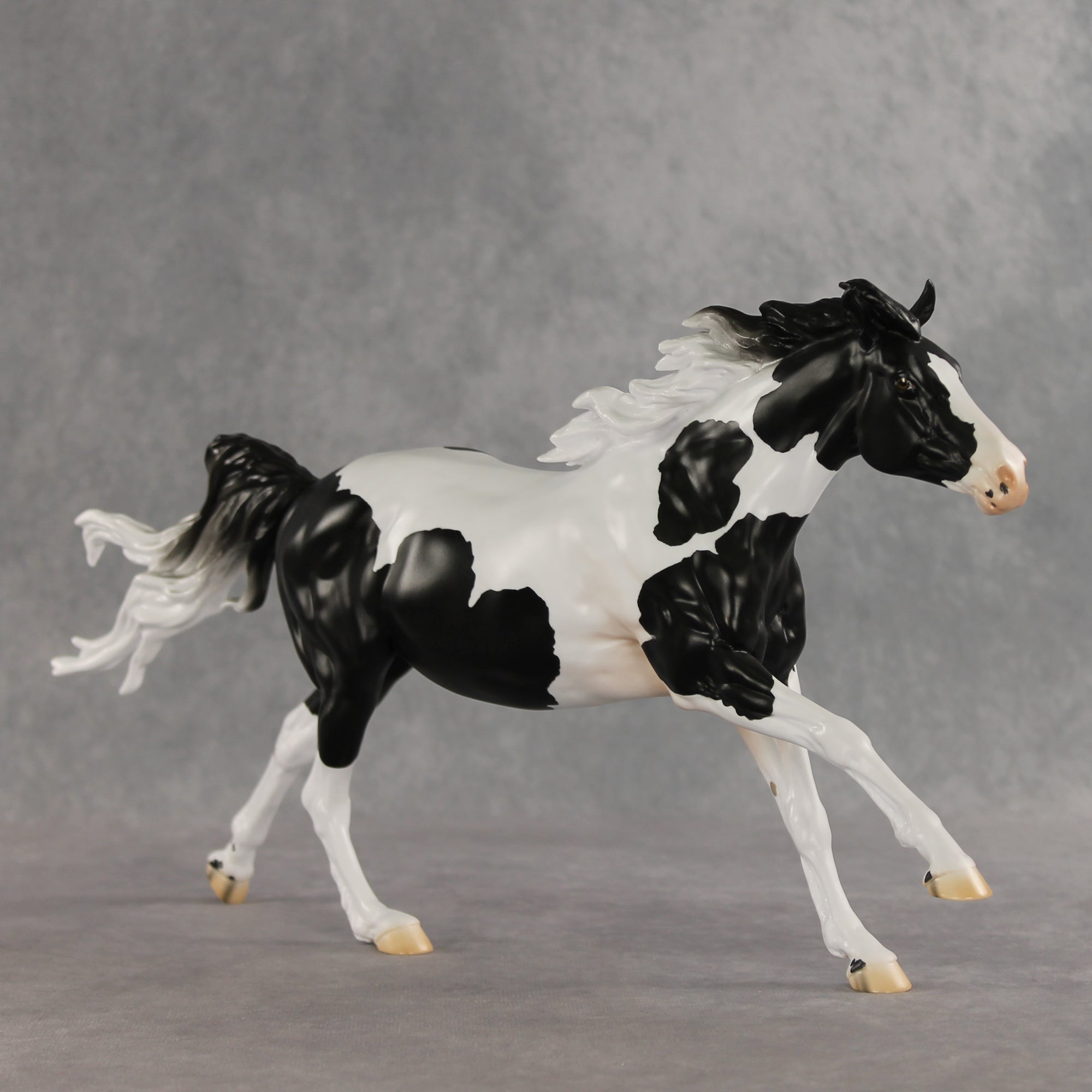 Eden LE-10 by Jess Hamill &amp; Carissa Mathews VV26