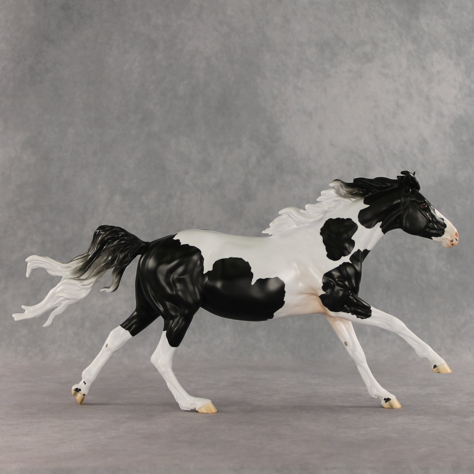 Eden LE-10 by Jess Hamill &amp; Carissa Mathews VV26