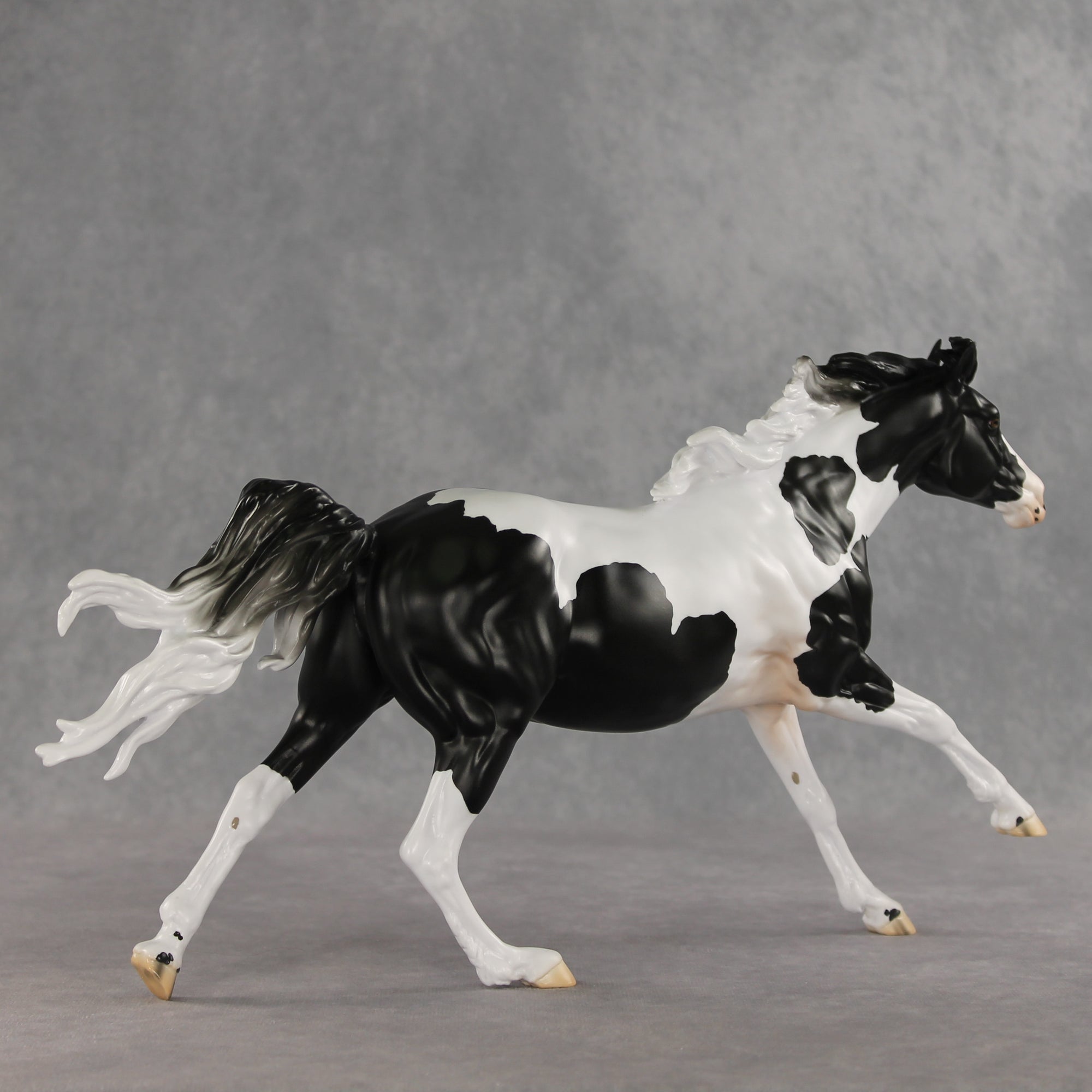 Eden LE-10 by Jess Hamill &amp; Carissa Mathews VV26