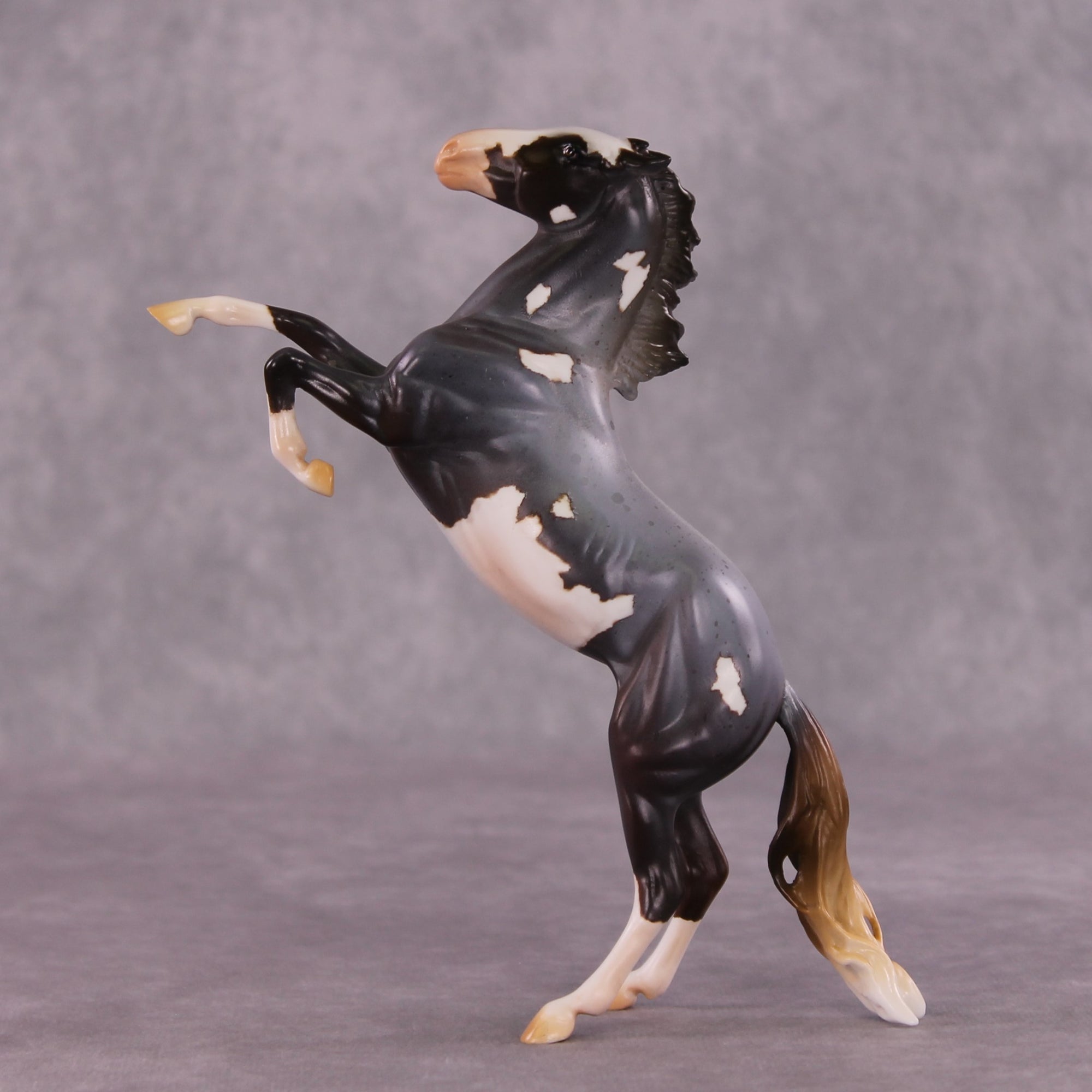 "Kepler" OOAK Rearing Pebble by Anna Rieck EQ25