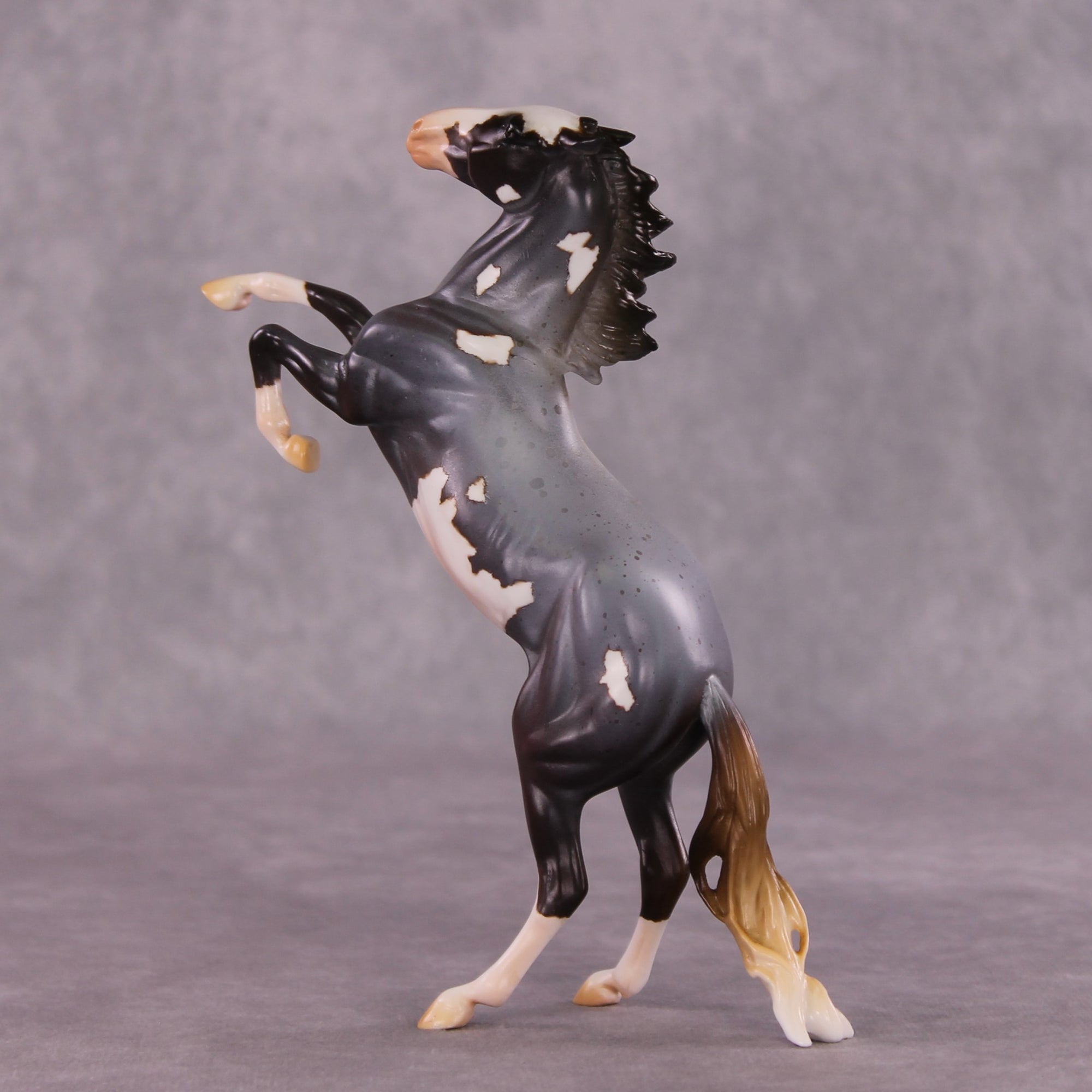 "Kepler" OOAK Rearing Pebble by Anna Rieck EQ25