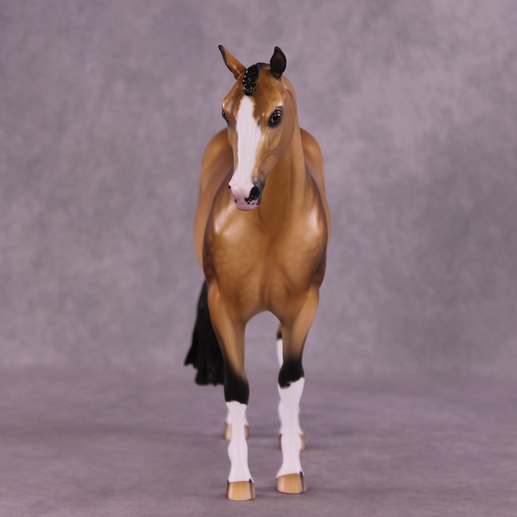 Brunelleschi OOAK EFCM Ideal Stock Horse by Ellen Robbins Best Offer 9/23/2025