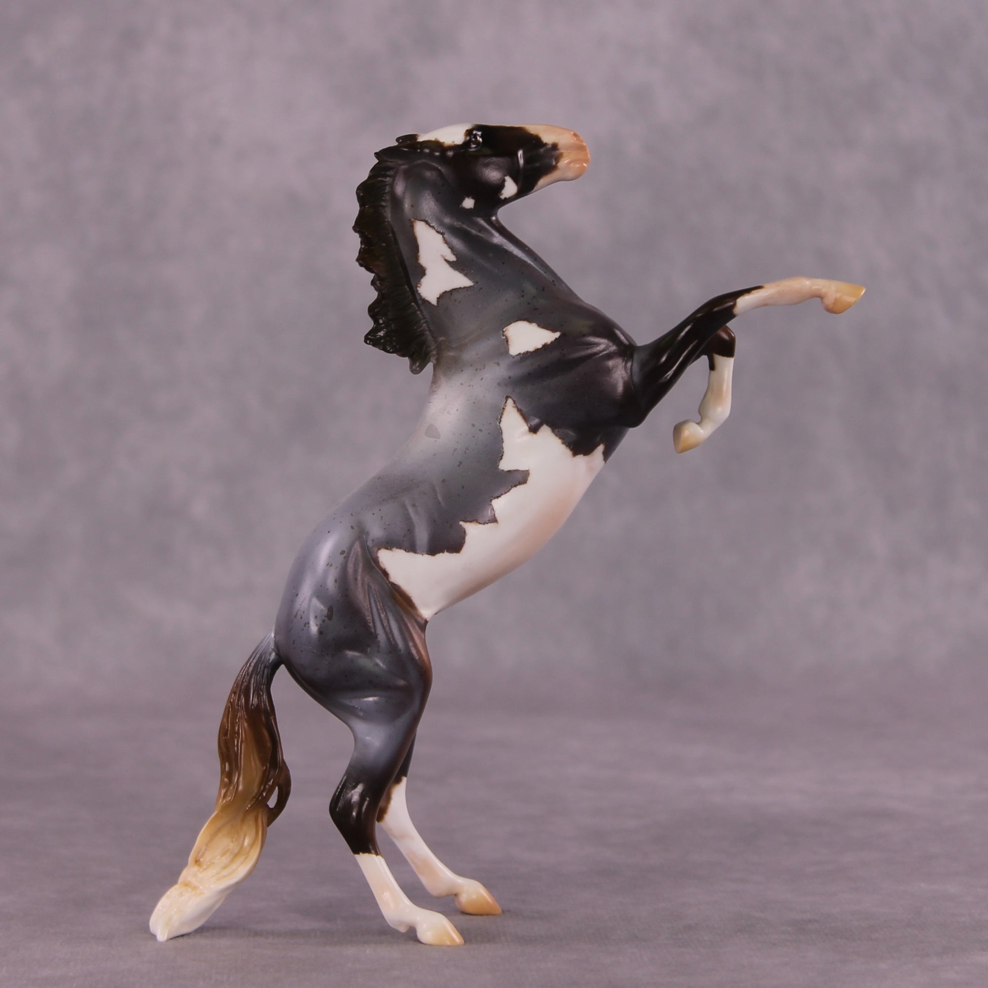 "Kepler" OOAK Rearing Pebble by Anna Rieck EQ25