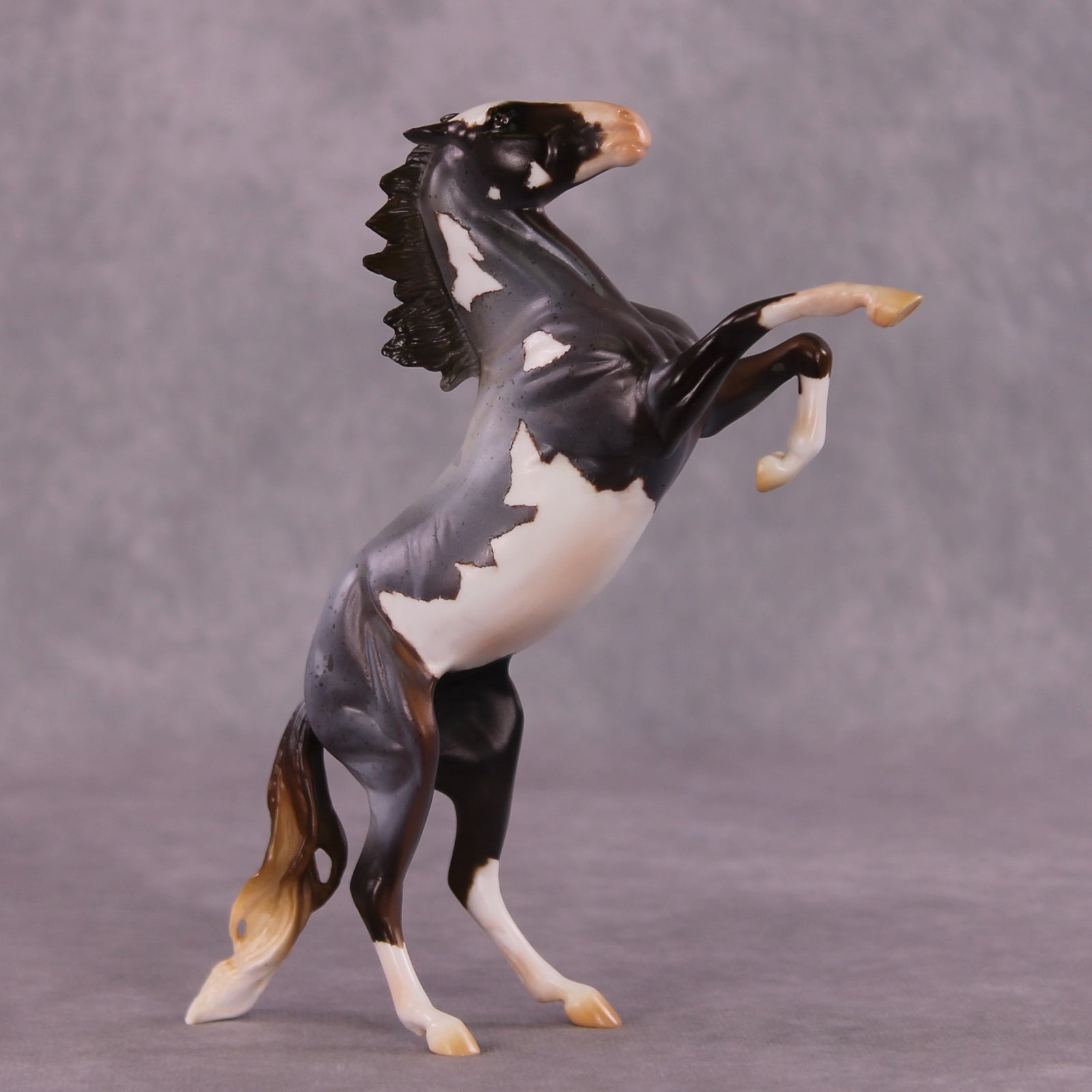 "Kepler" OOAK Rearing Pebble by Anna Rieck EQ25