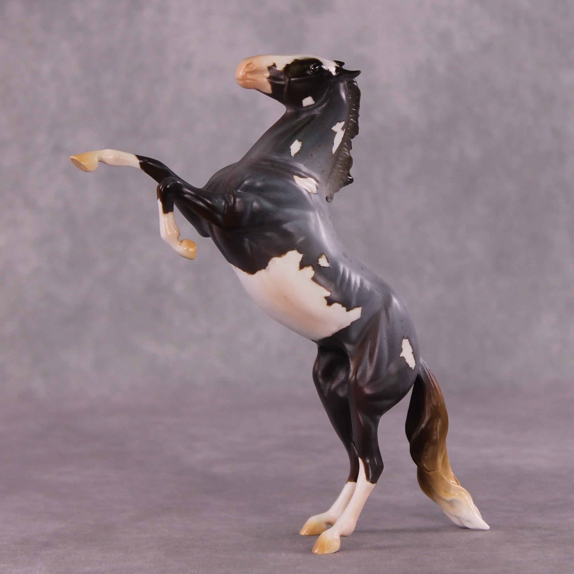"Kepler" OOAK Rearing Pebble by Anna Rieck EQ25