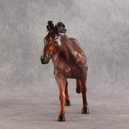 Crazy 4 U LE-15 EFCM Remington by Anna Rieck & Carissa Mathews VV26