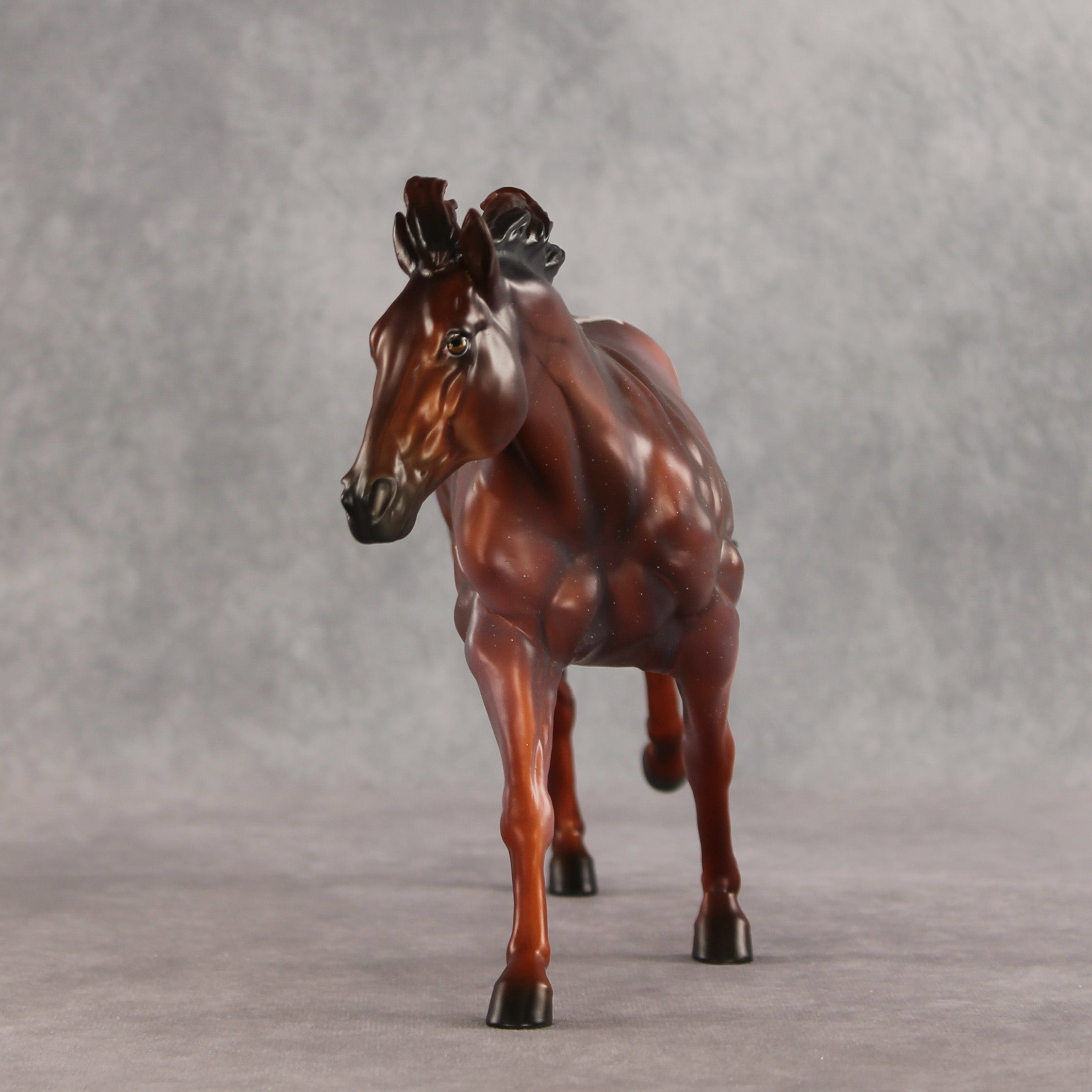 Crazy 4 U LE-15 EFCM Remington by Anna Rieck & Carissa Mathews VV26