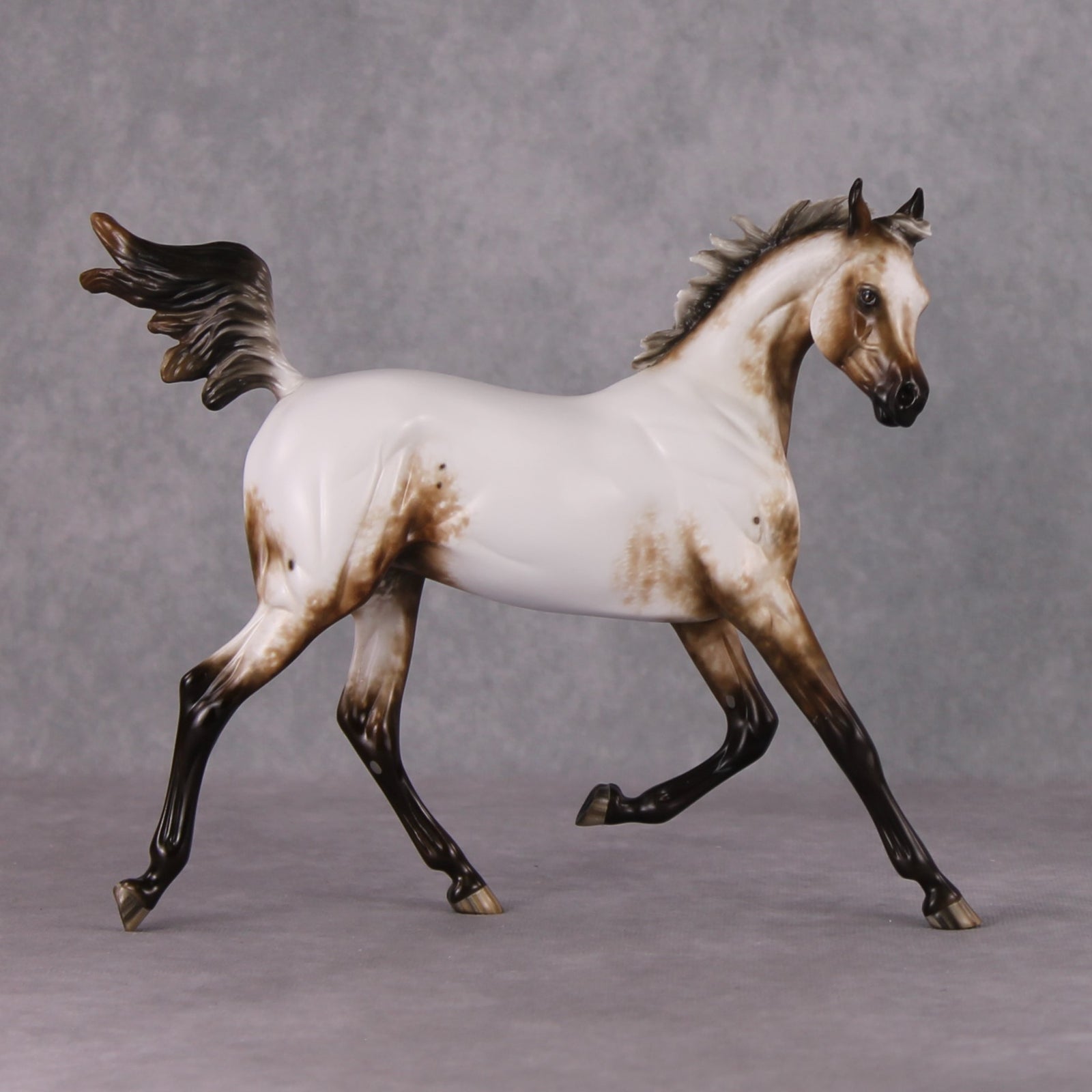 Paper Moon OOAK Appaloosa Arab Yearling By Sheryl Leisure Best Offers 11/26/24