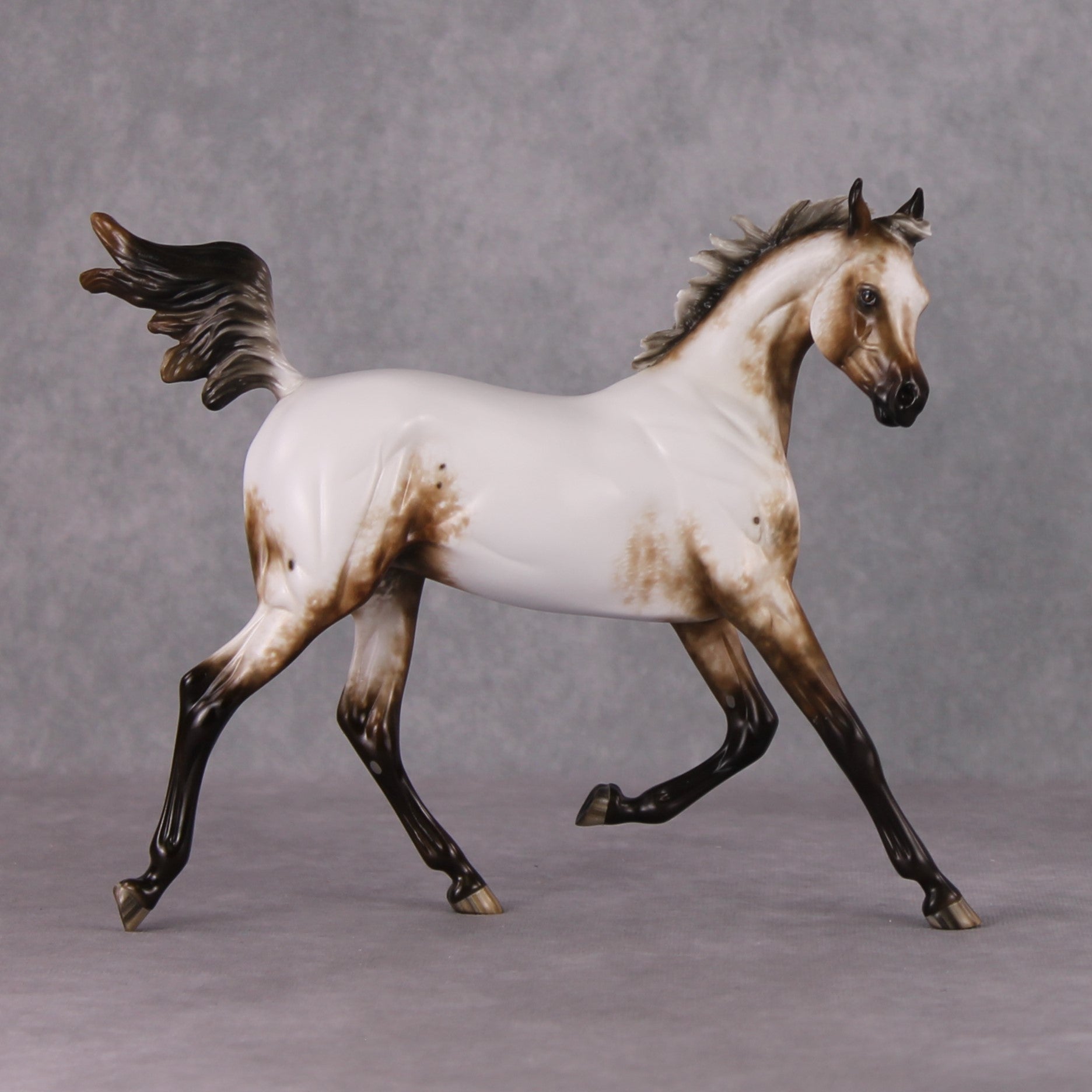 Paper Moon OOAK Appaloosa Arab Yearling By Sheryl Leisure Best Offers 11/26/24