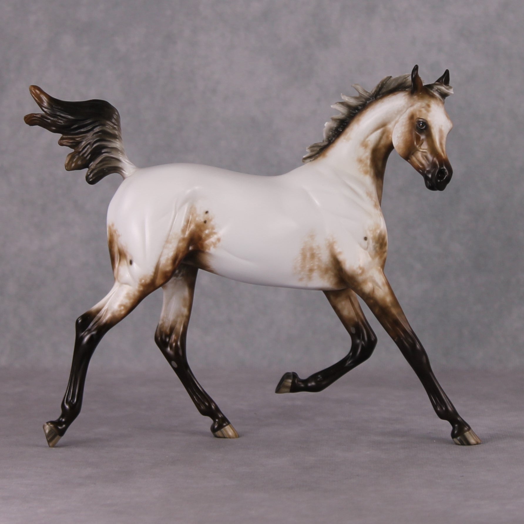 Paper Moon OOAK Appaloosa Arab Yearling By Sheryl Leisure Best Offers 11/26/24