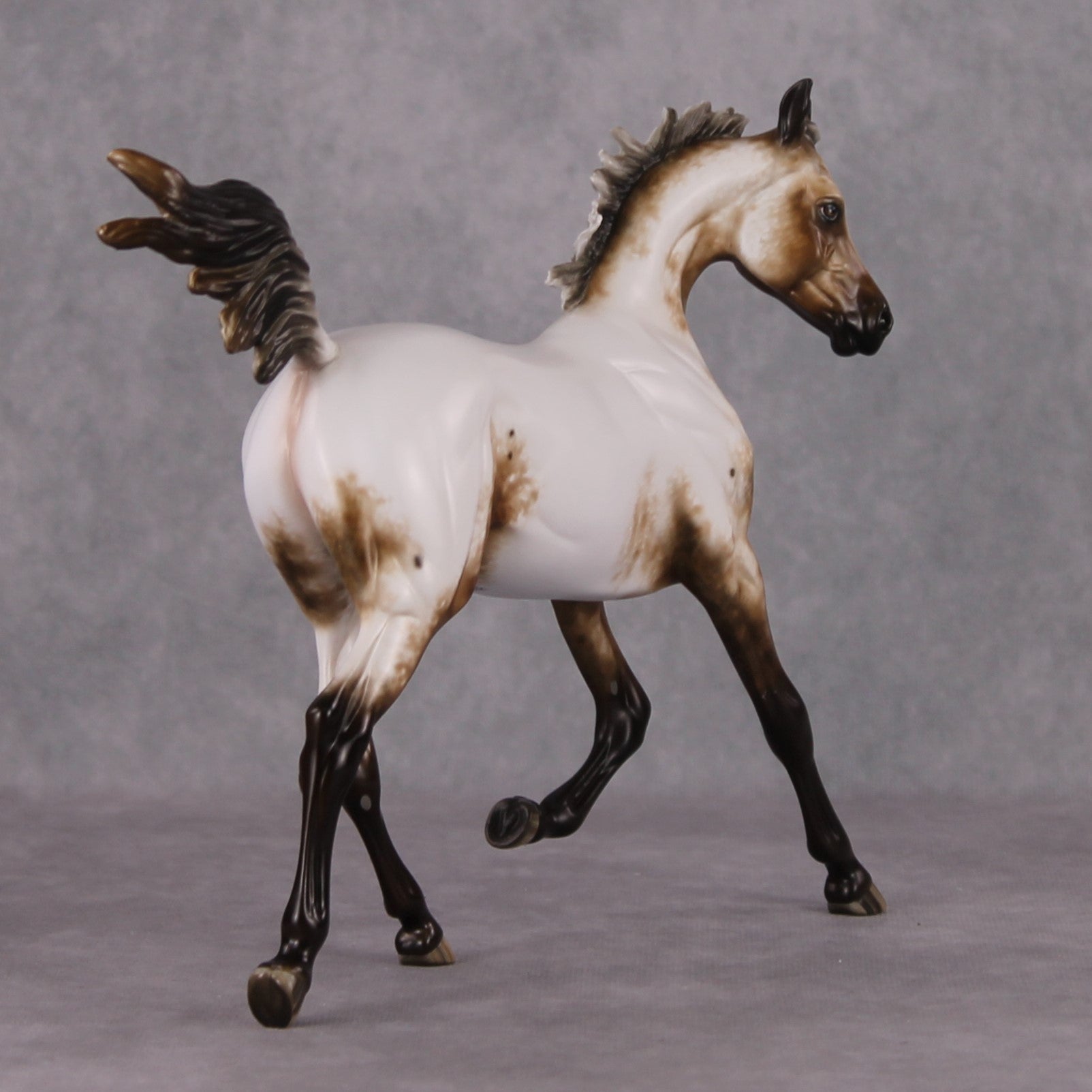 Paper Moon OOAK Appaloosa Arab Yearling By Sheryl Leisure Best Offers 11/26/24