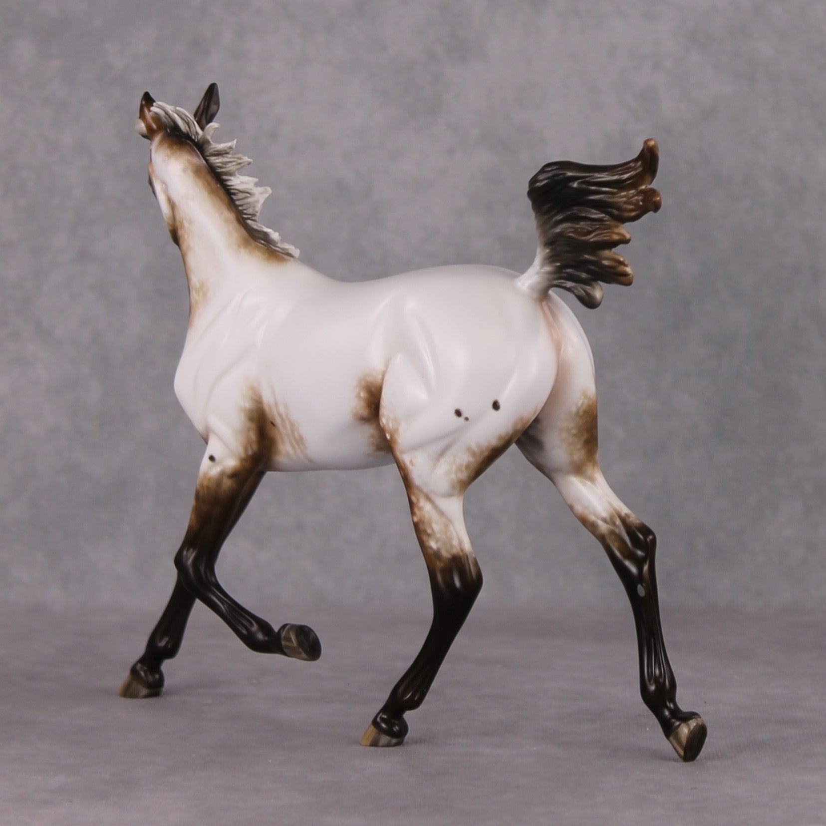 Paper Moon OOAK Appaloosa Arab Yearling By Sheryl Leisure Best Offers 11/26/24