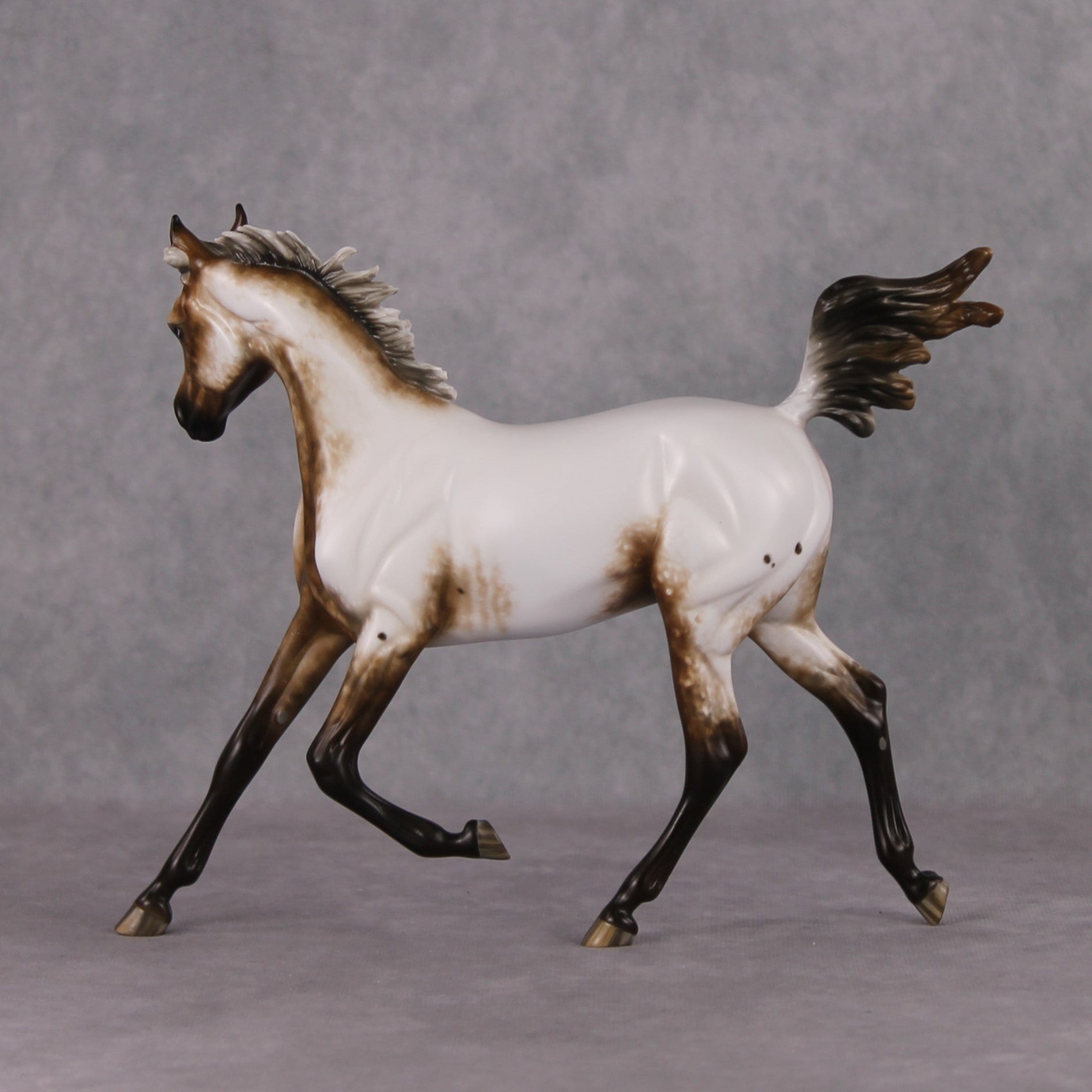 Paper Moon OOAK Appaloosa Arab Yearling By Sheryl Leisure Best Offers 11/26/24