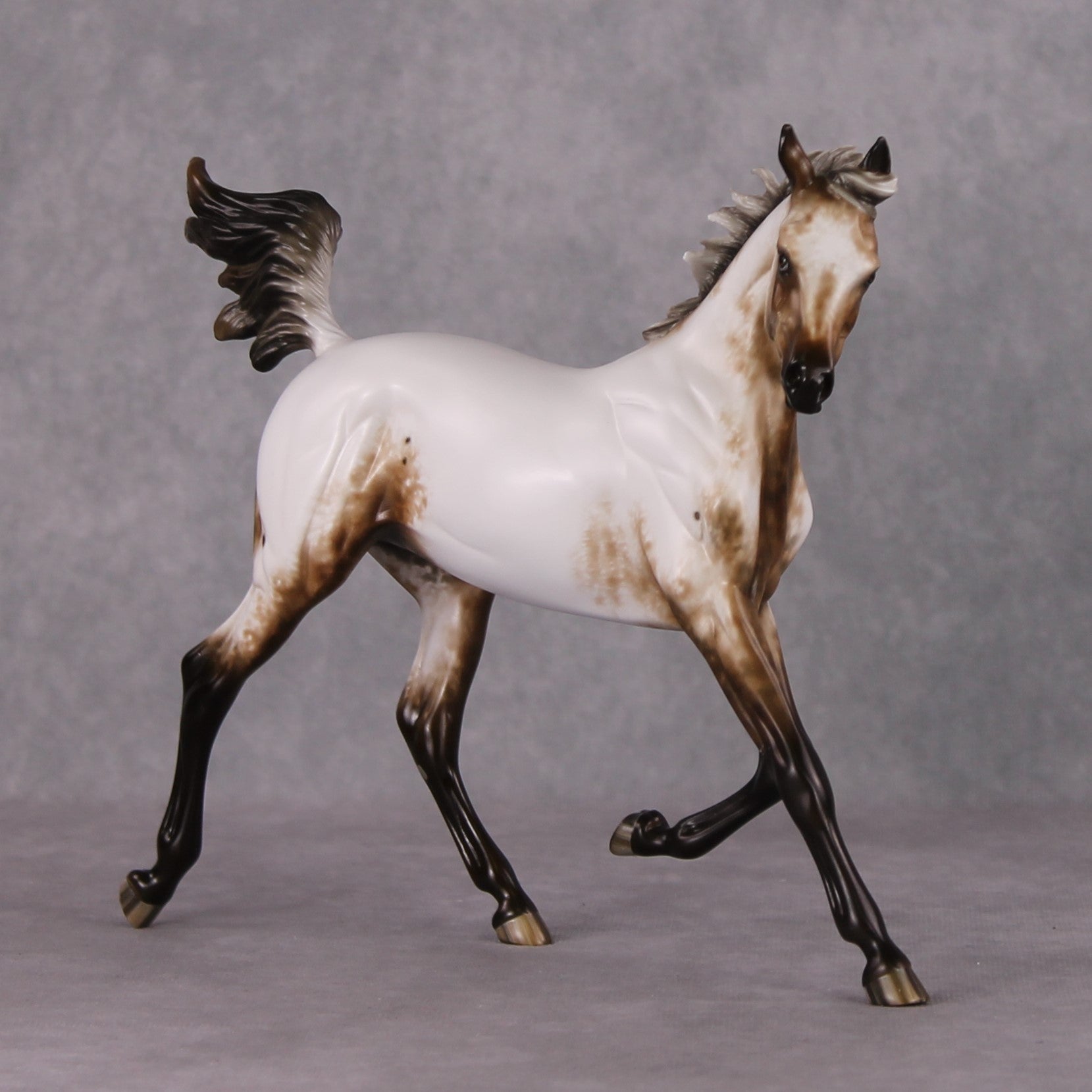 Paper Moon OOAK Appaloosa Arab Yearling By Sheryl Leisure Best Offers 11/26/24