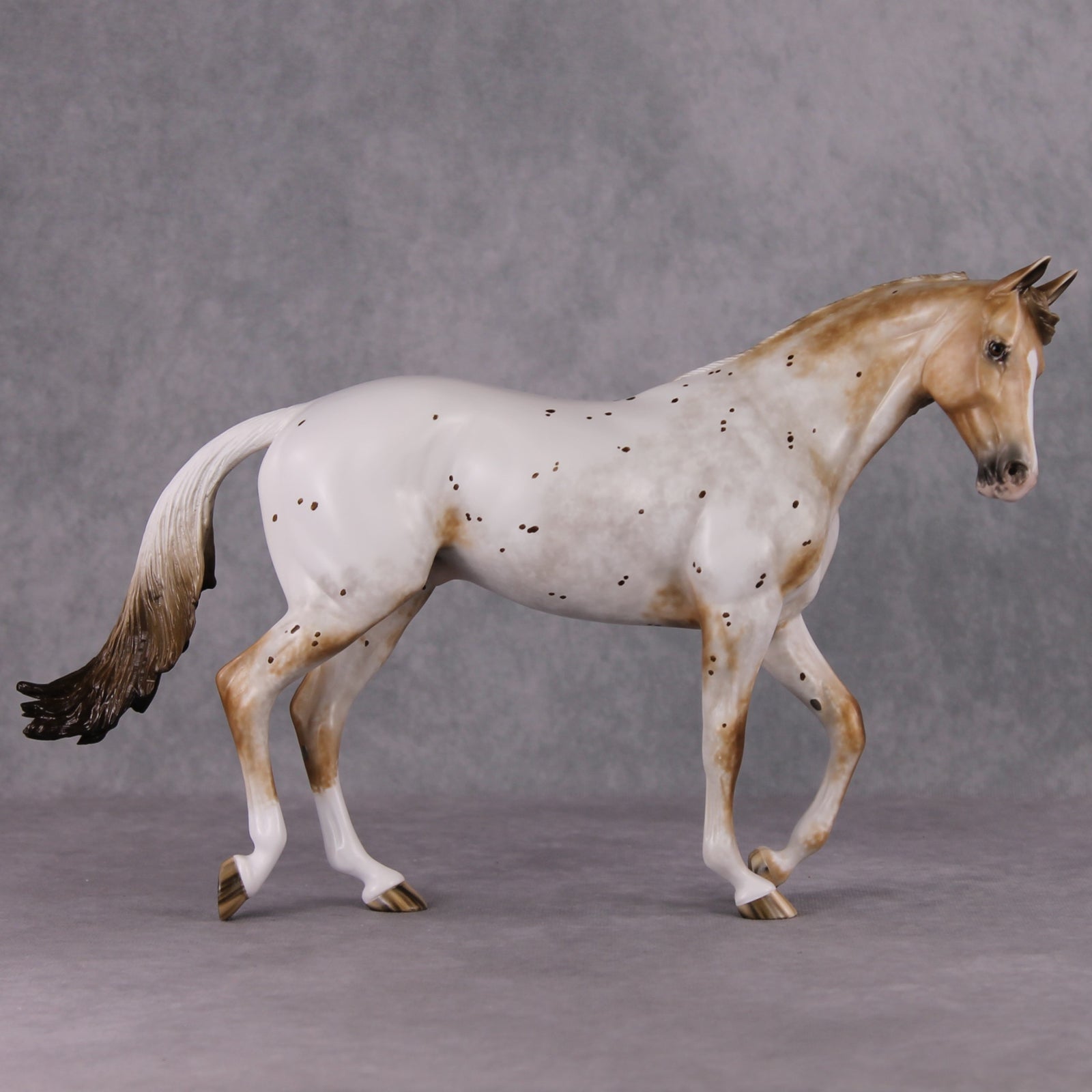 Ogallala OOAK Chestnut Appaloosa Thoroughbred By Sheryl Leisure Best Offers 11/26/24