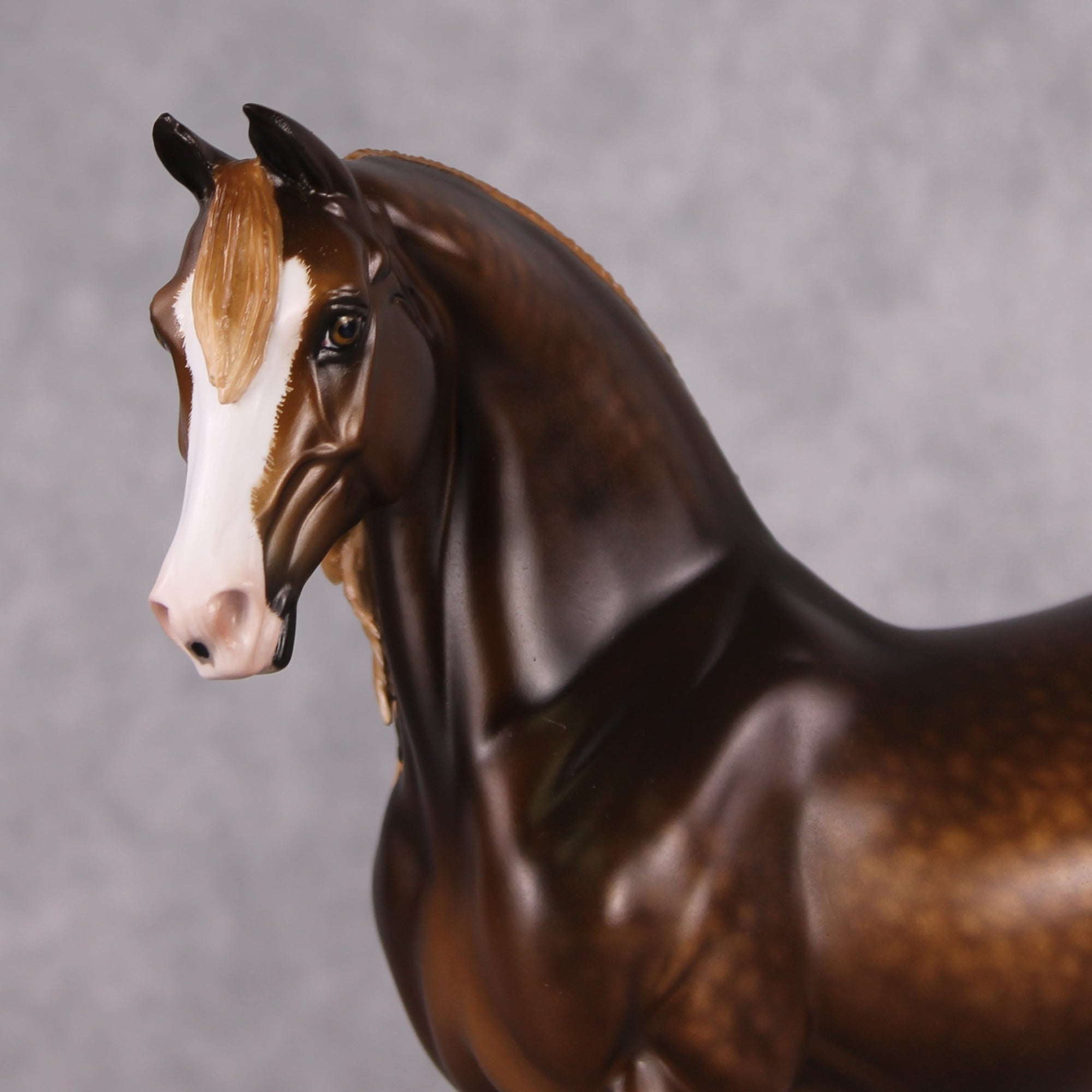 Autumnal OOAK Dappled Liver Chestnut MorganBy Sheryl Leisure Best Offers 11/26/24