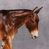 Dun Messing Around OOAK Dun Large Mule by Maggie Jenner-Bennett Best Offers 11/26/24