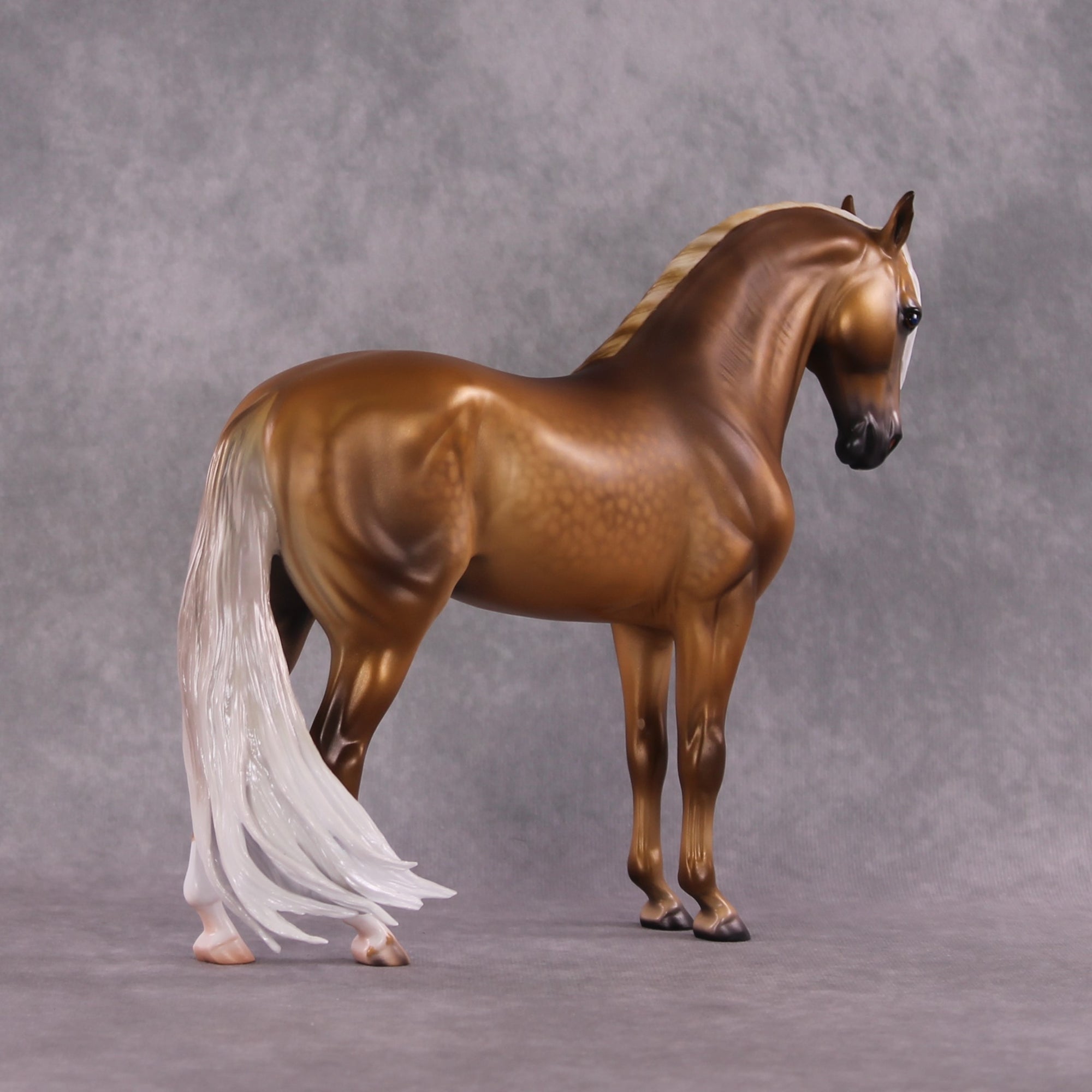 "King Tut" OOAK FCM Andalusian By Caroline Boydston Best Offer 5/6/2025