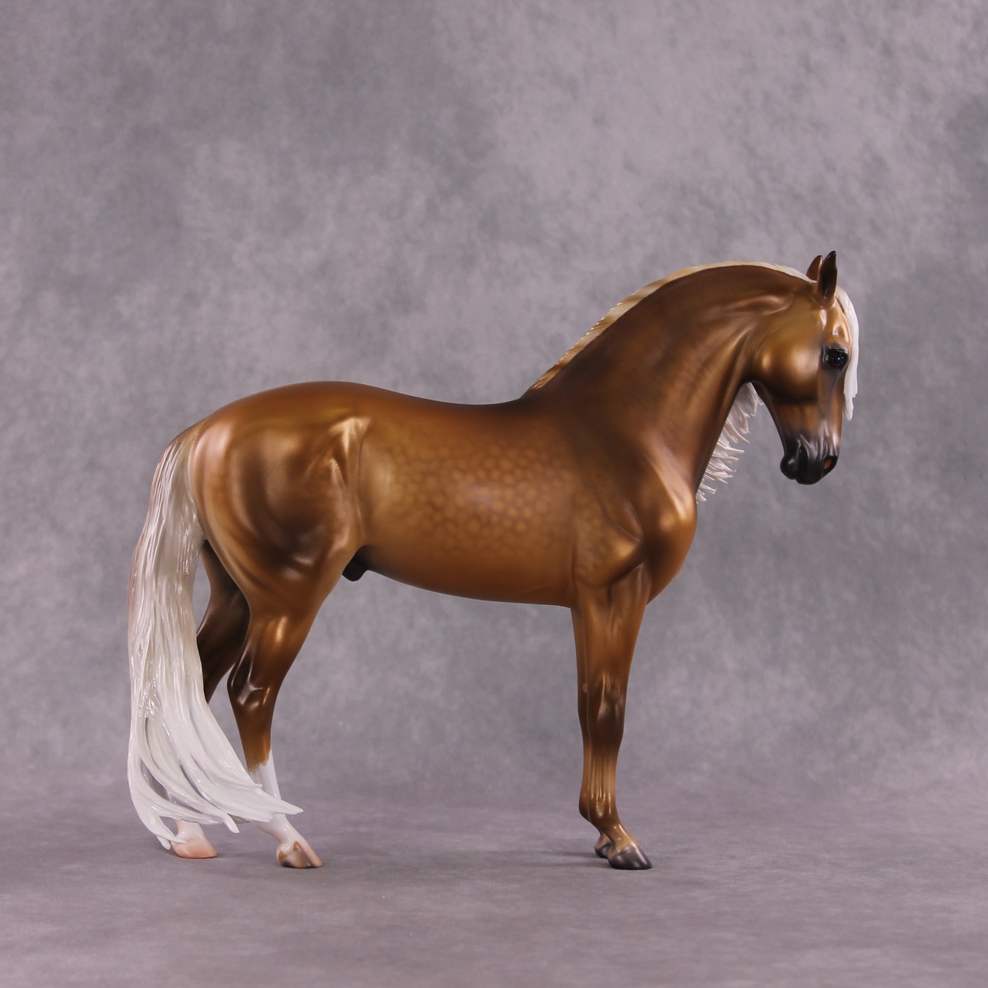 "King Tut" OOAK FCM Andalusian By Caroline Boydston Best Offer 5/6/2025