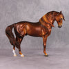 Sleeping Beauty&#39;s Prince LE-33 Rich Dark Chestnut Windswept Andalusian Painted By Jess Hamill FTL24