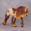 COLOR SELECTION French Quarter Party Clip - Hunter Style Clipped Chestnut by Ellen