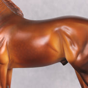 Sleeping Beauty's Prince LE-33 Rich Dark Chestnut Windswept Andalusian Painted By Jess Hamill FTL24