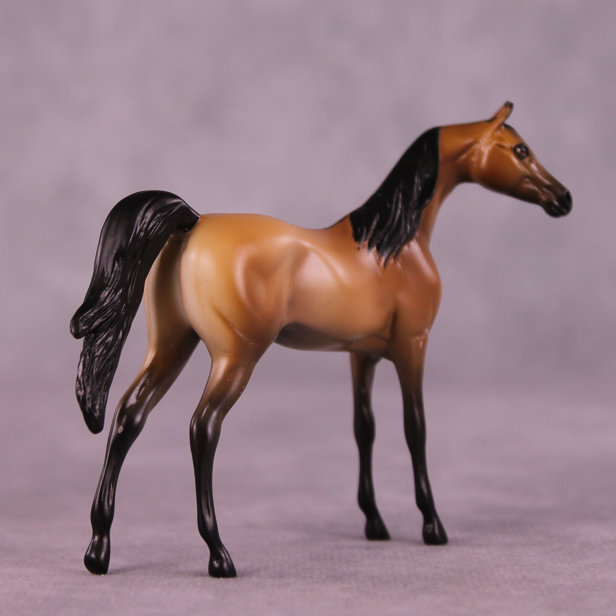 Empire Waist OOAK FCM Chip Arabian by Tegan Davis GS825