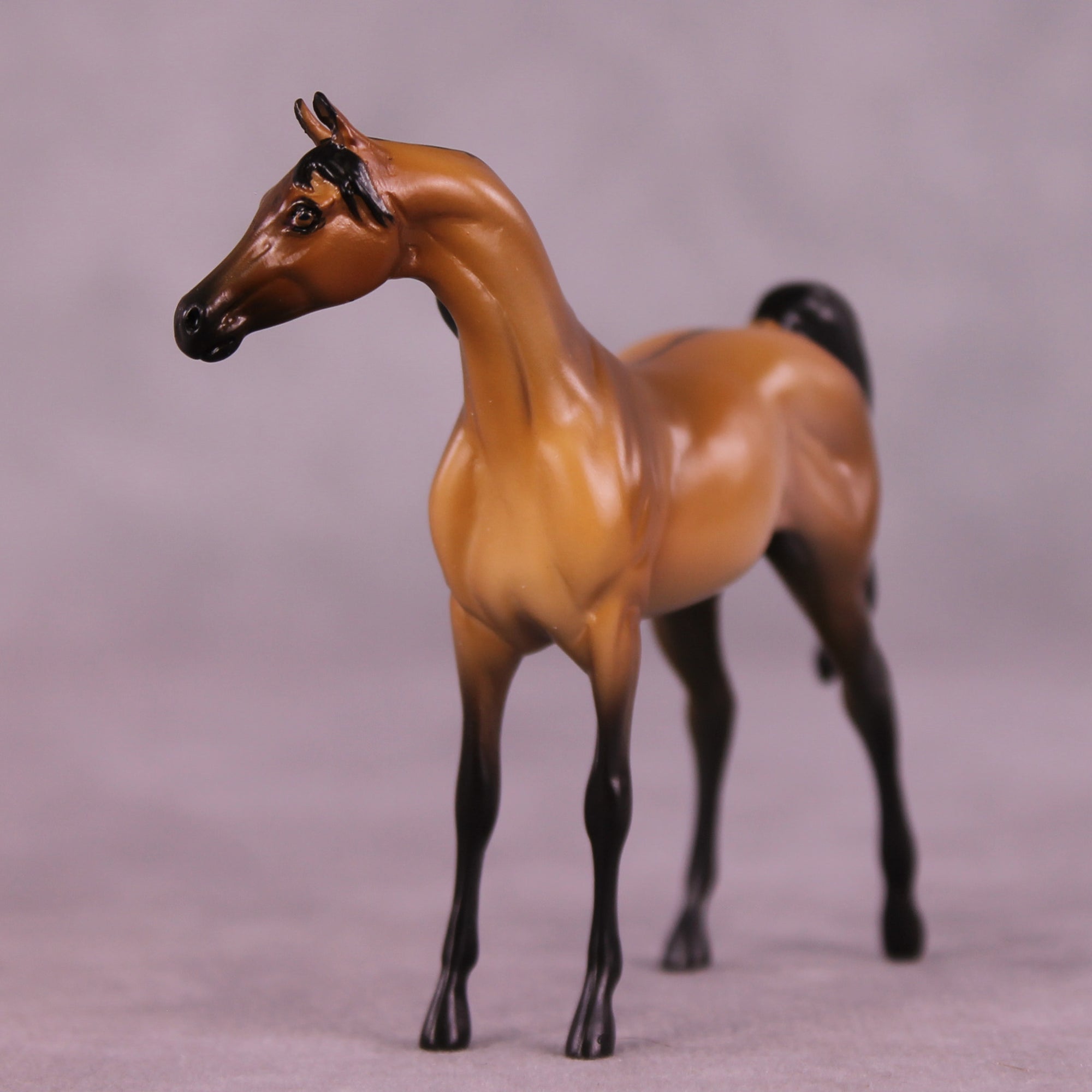 Empire Waist OOAK FCM Chip Arabian by Tegan Davis GS825